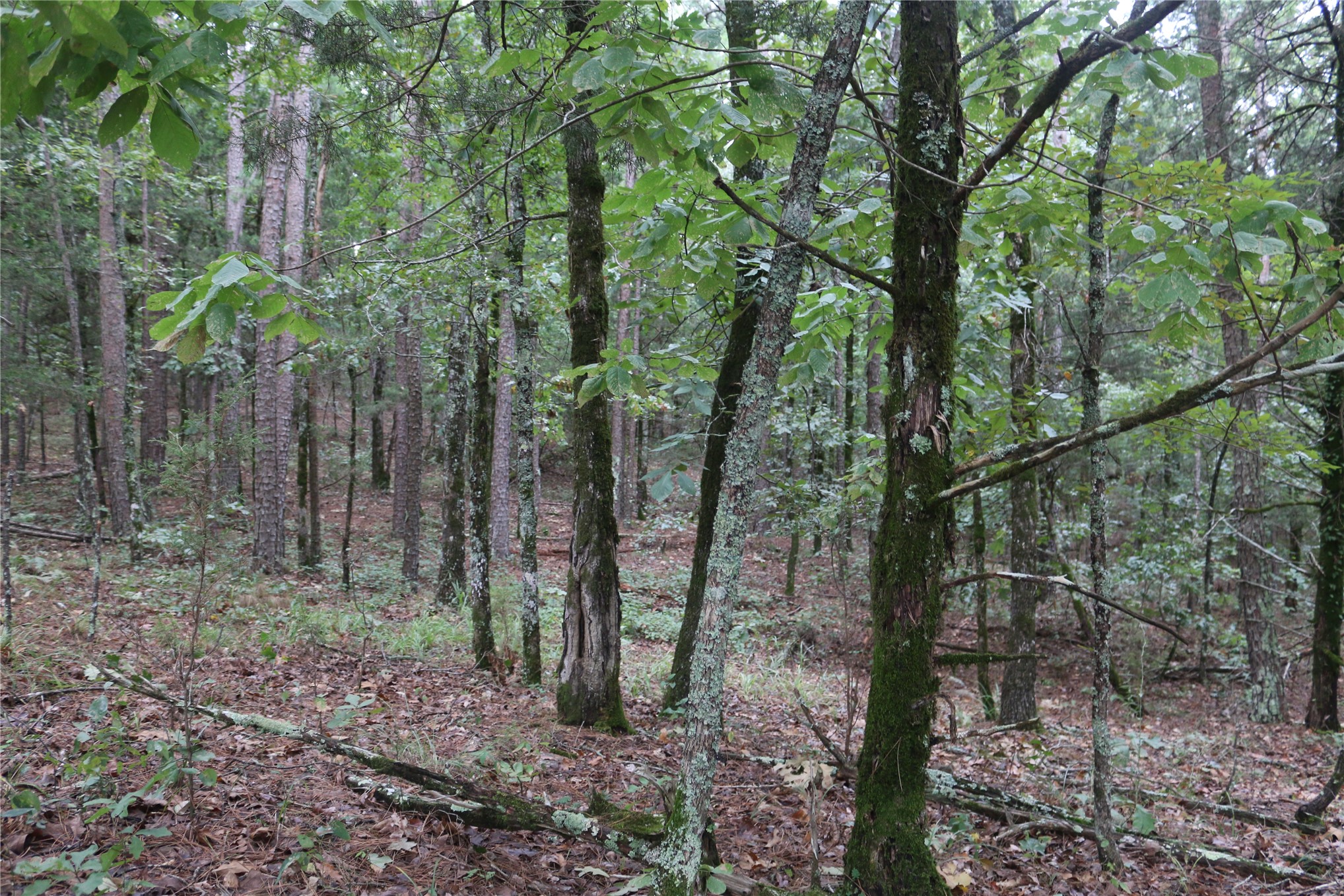 259 Highway Property Photo 50