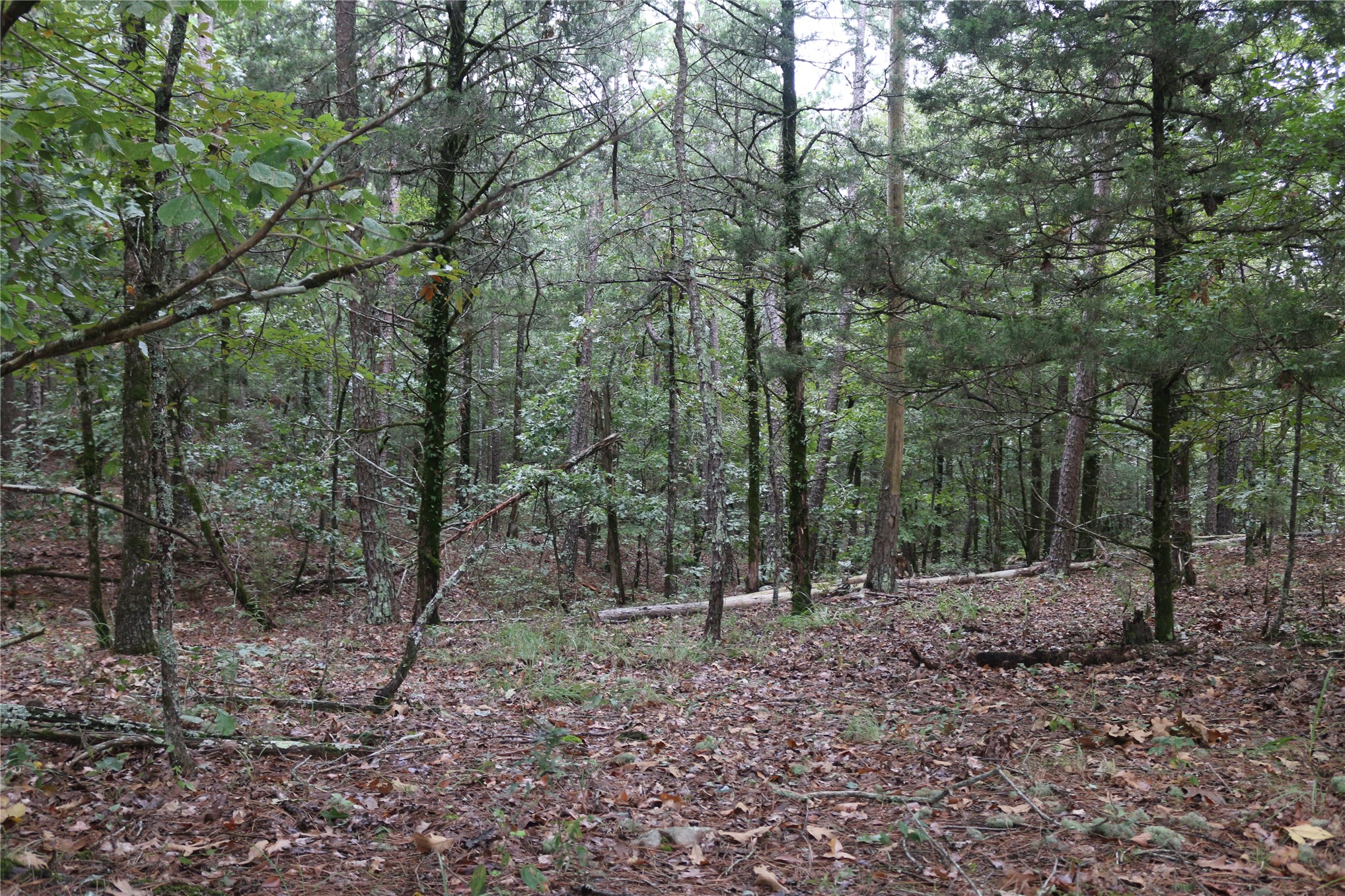 259 Highway Property Photo 51