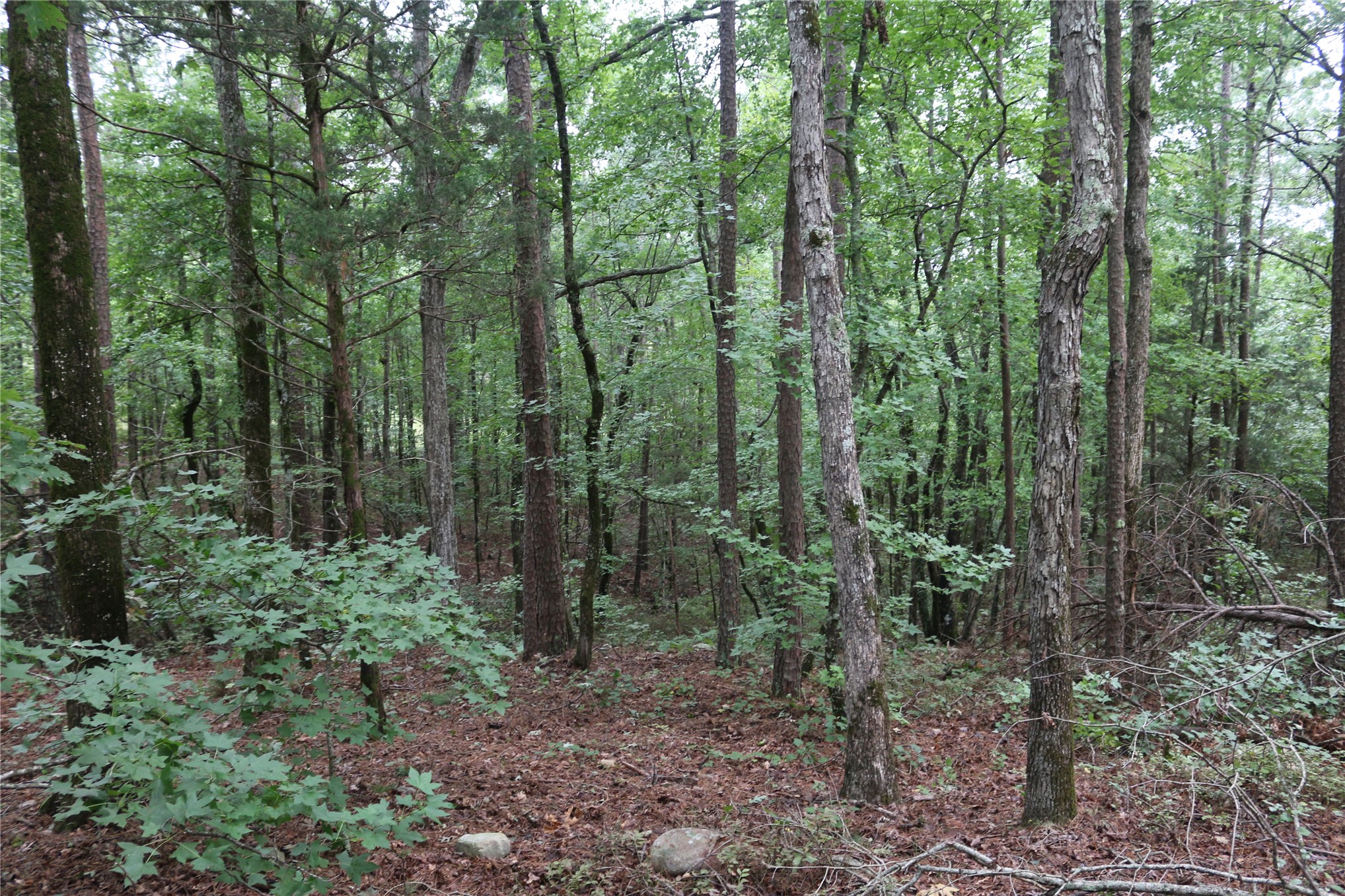 259 Highway Property Photo 53