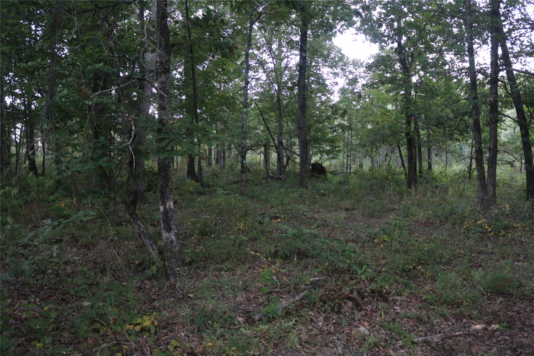 259 Highway Property Photo 54