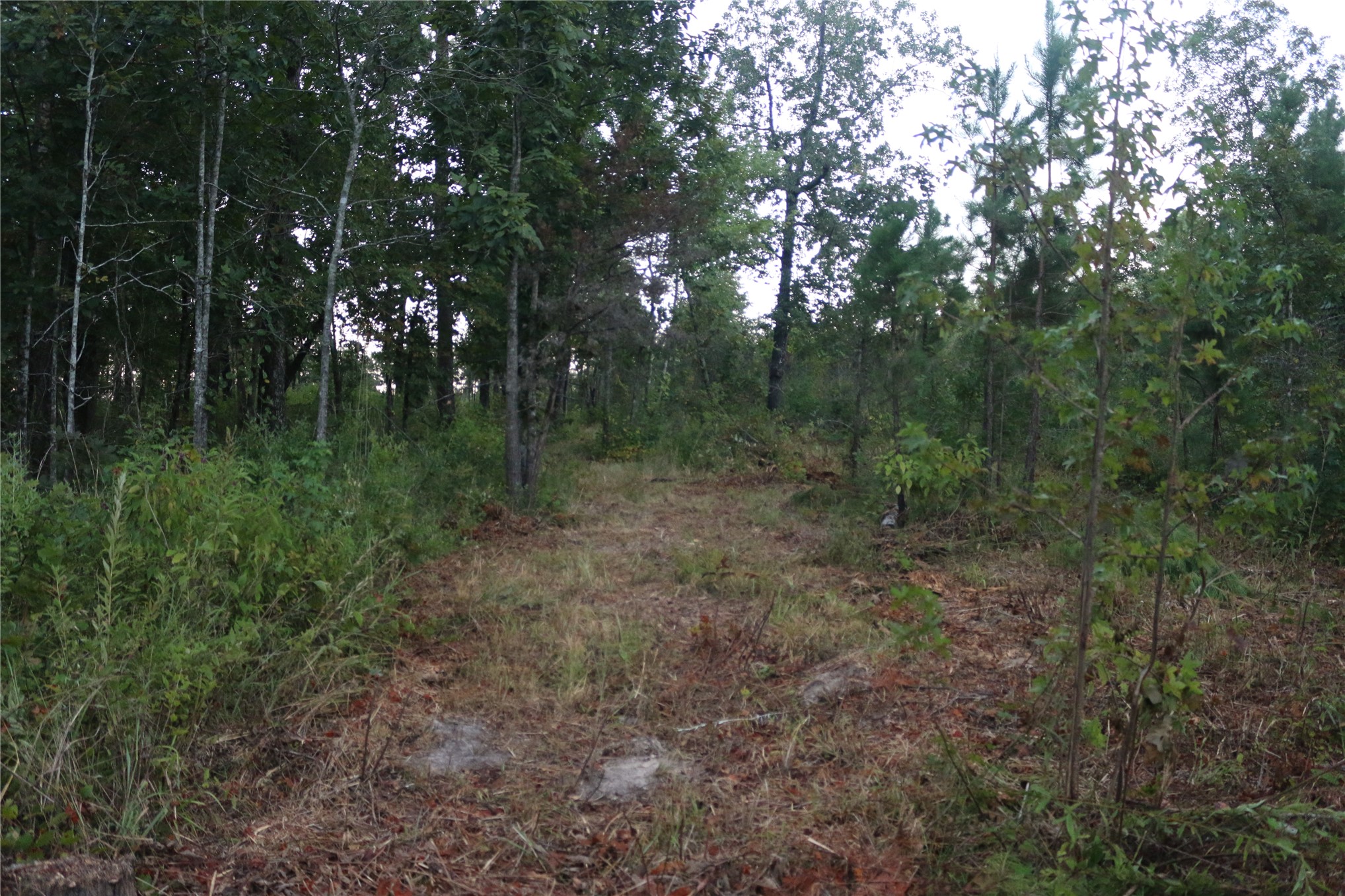 259 Highway Property Photo 55