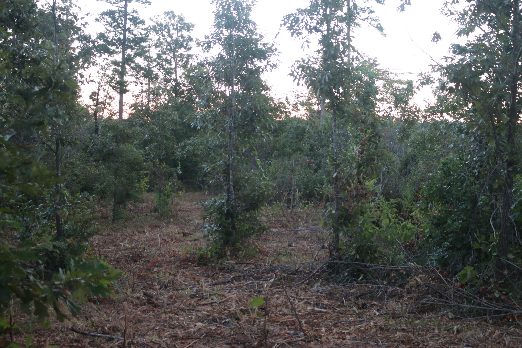 259 Highway Property Photo 56