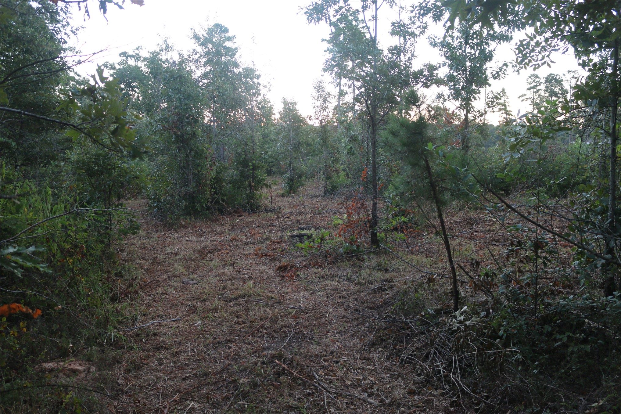 259 Highway Property Photo 57
