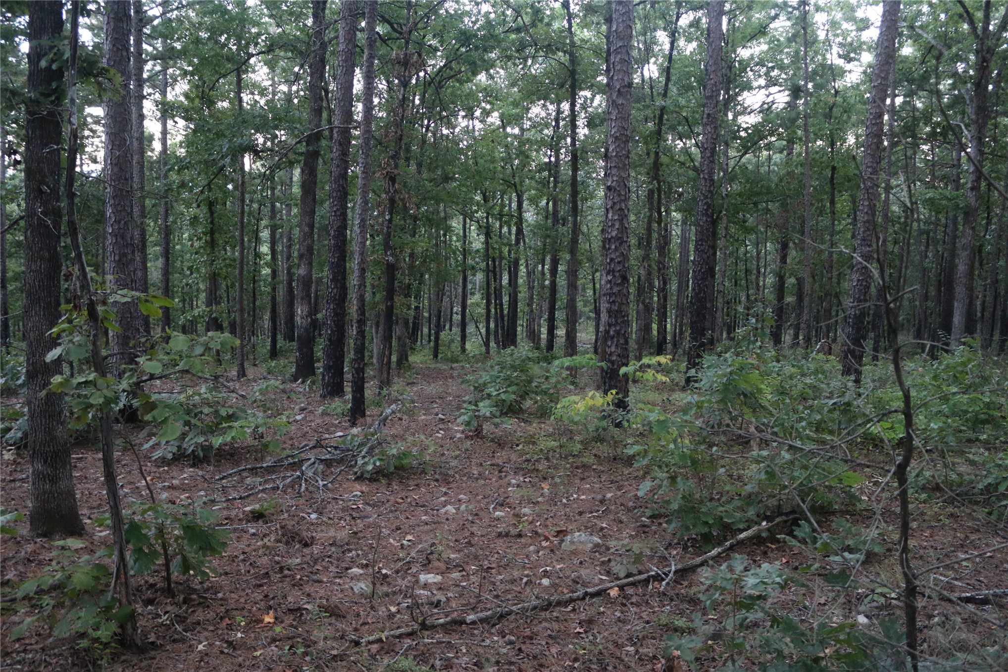 259 Highway Property Photo 58