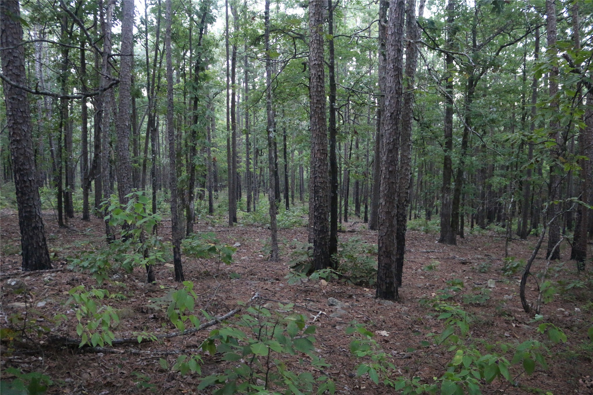 259 Highway Property Photo 61