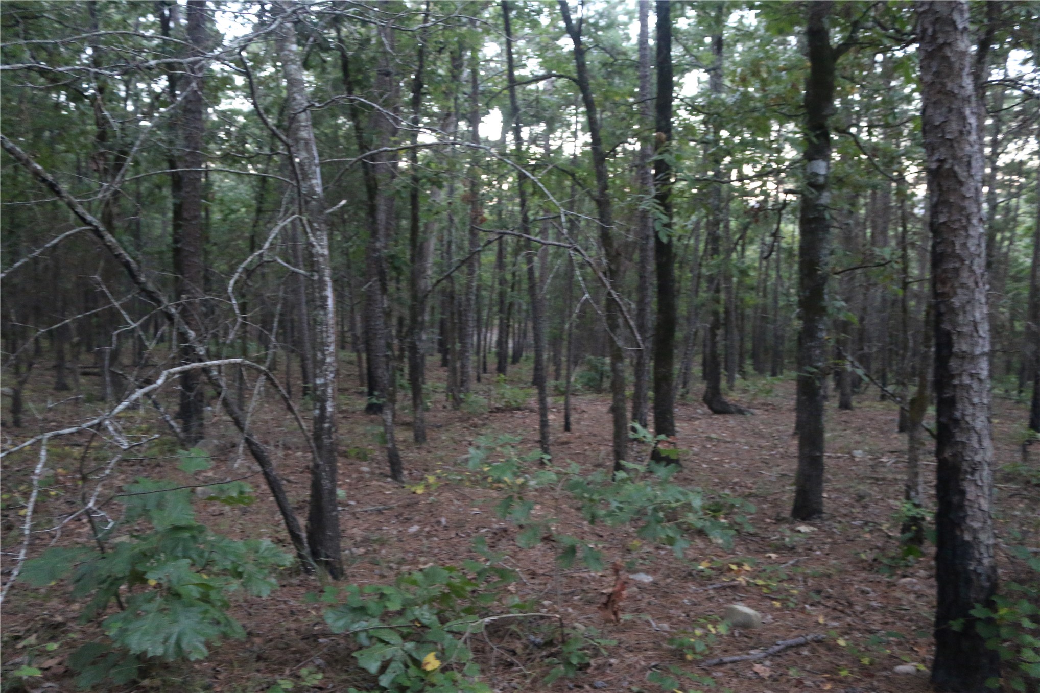 259 Highway Property Photo 62