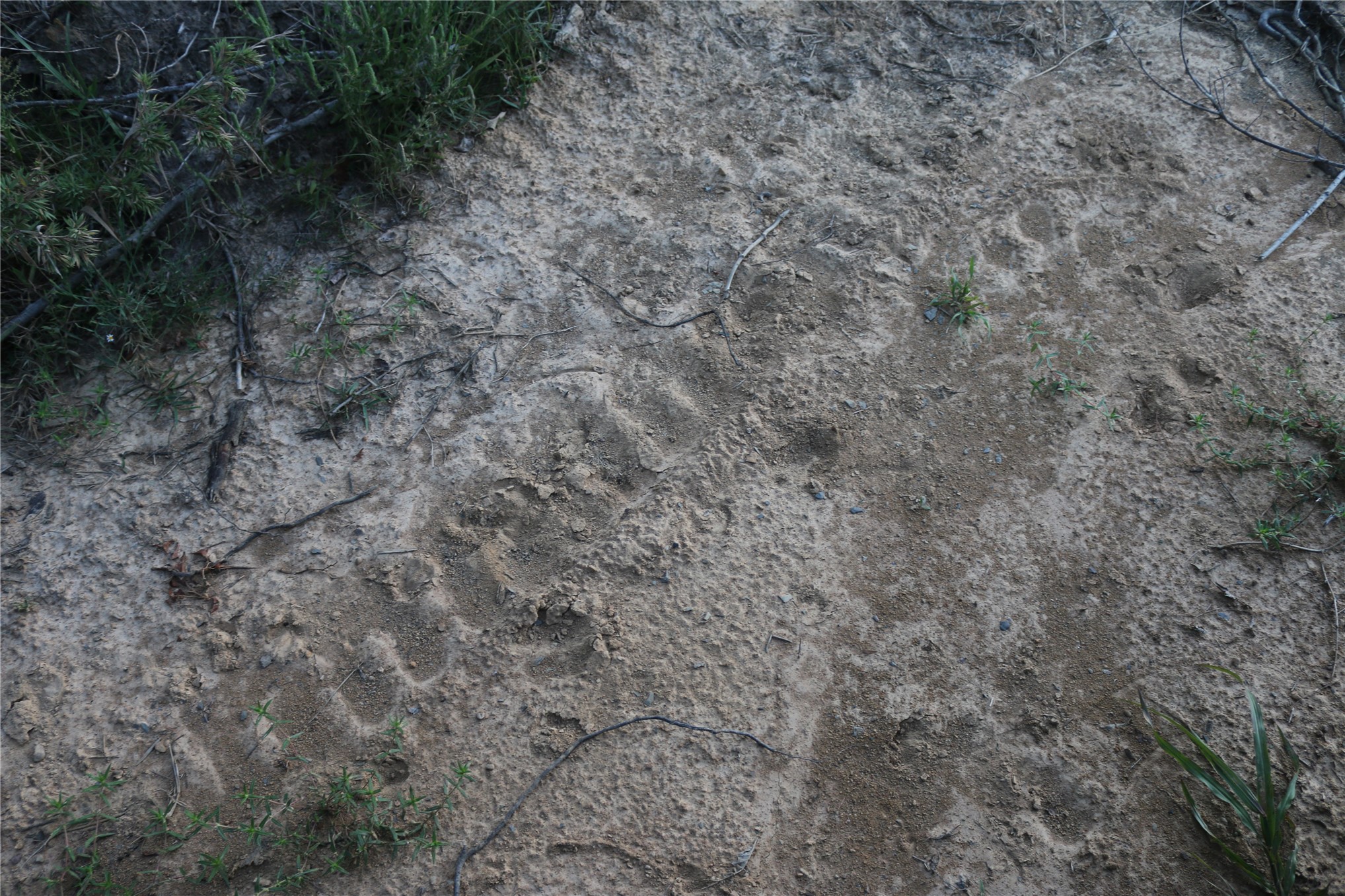 259 Highway Property Photo 65