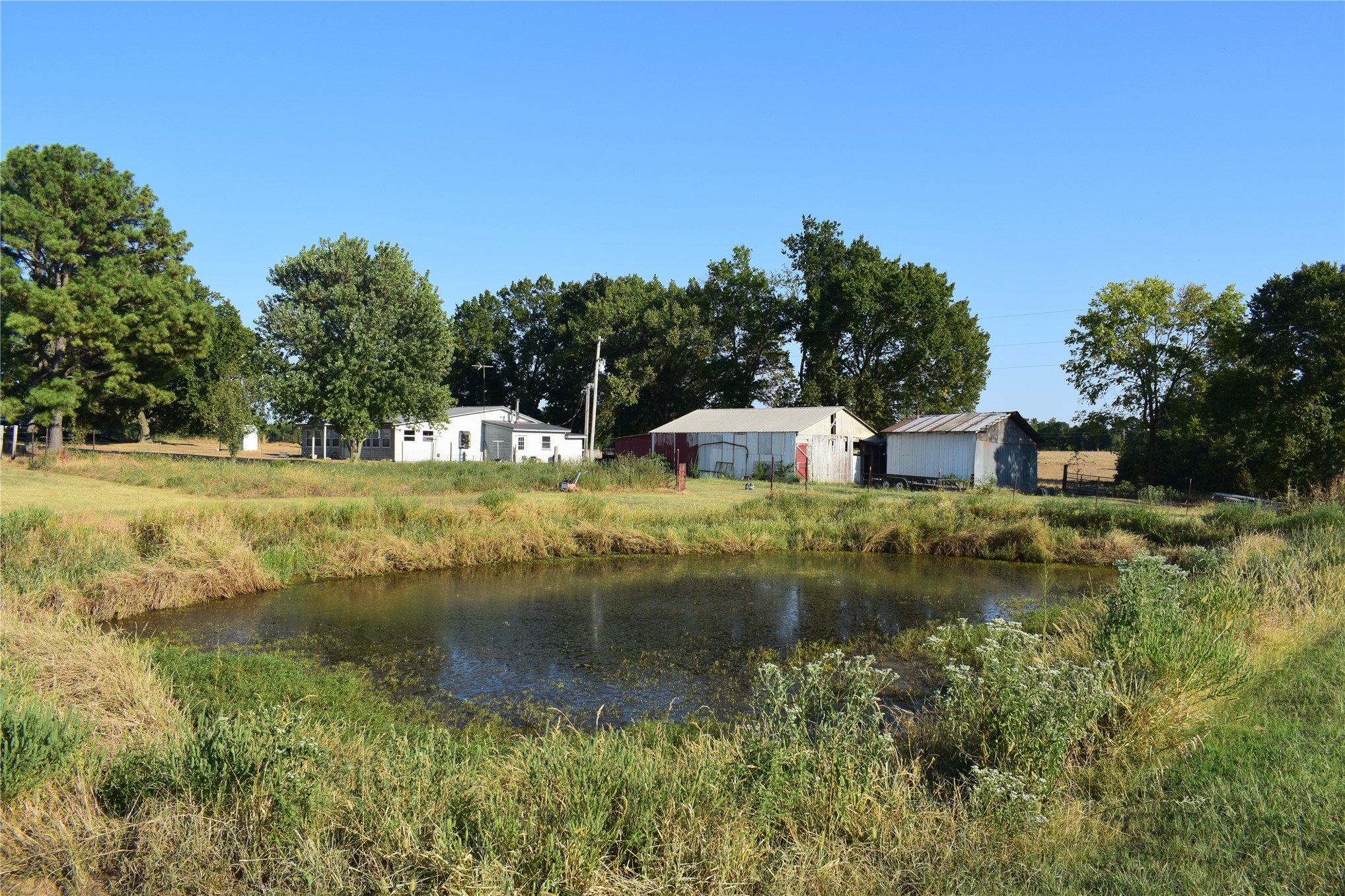 67451 E County Road 175 Road Property Photo 2