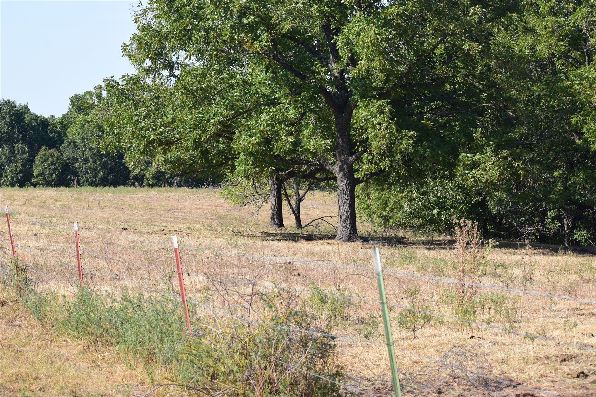 67451 E County Road 175 Road Property Photo 8