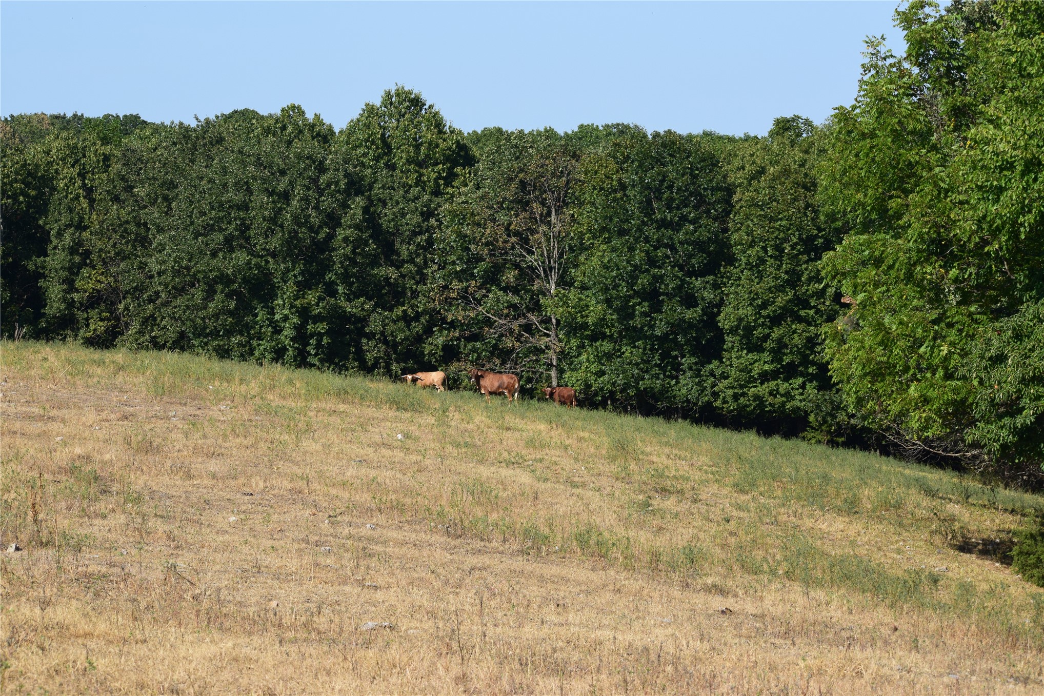 67451 E County Road 175 Road Property Photo 9