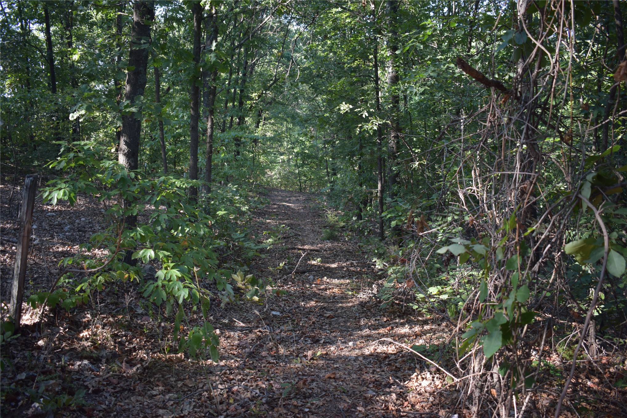 67451 E County Road 175 Road Property Photo 10