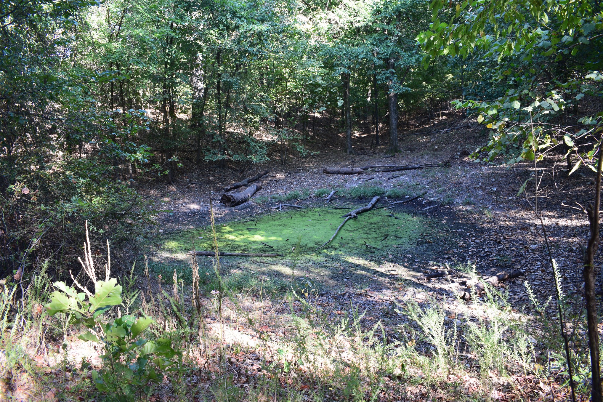 67451 E County Road 175 Road Property Photo 11