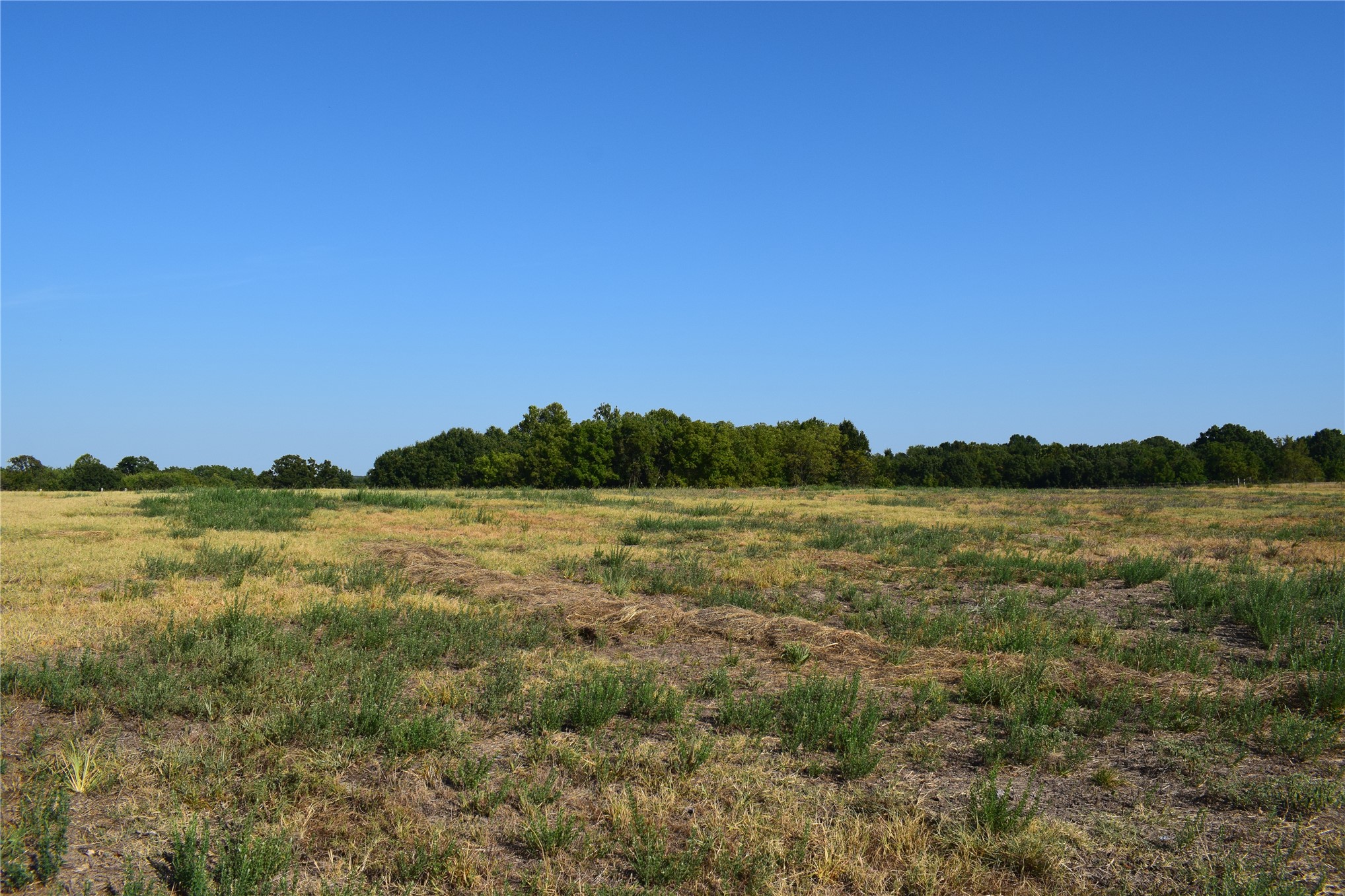 67451 E County Road 175 Road Property Photo 12