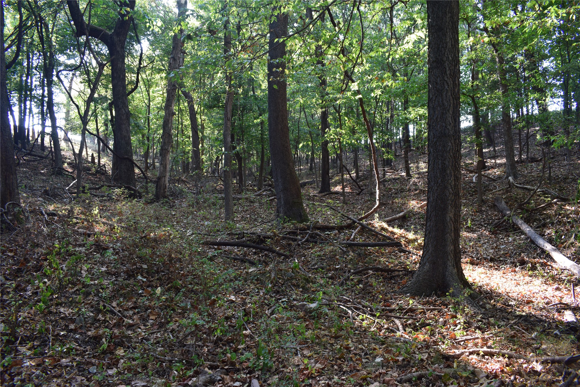 67451 E County Road 175 Road Property Photo 15