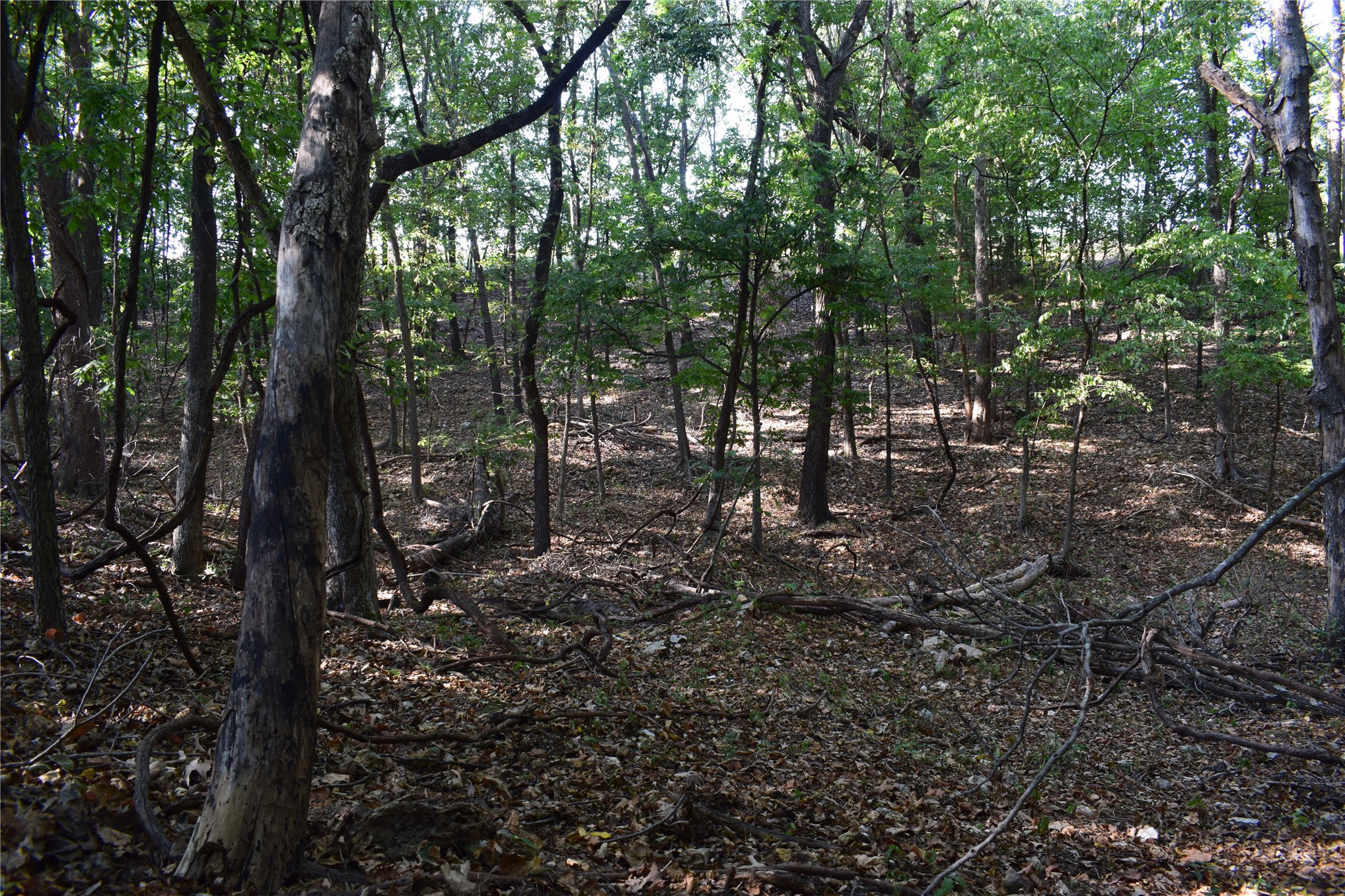 67451 E County Road 175 Road Property Photo 16