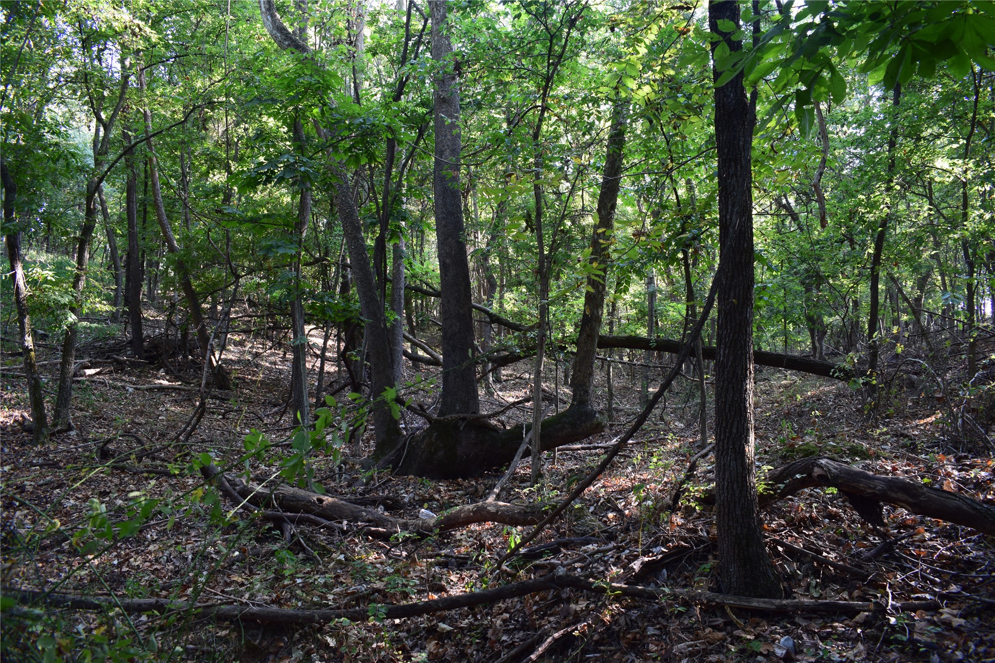 67451 E County Road 175 Road Property Photo 18