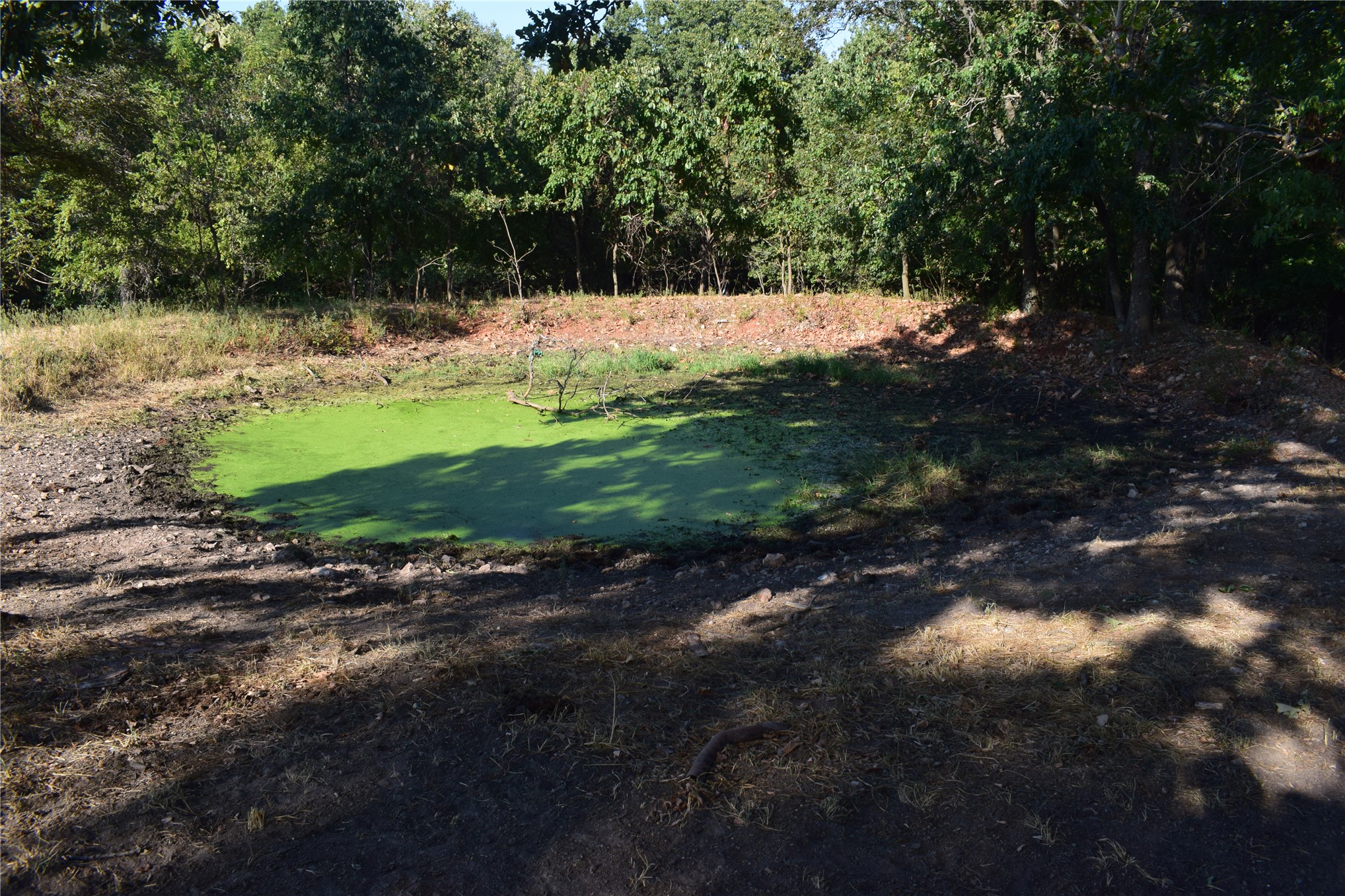 67451 E County Road 175 Road Property Photo 19