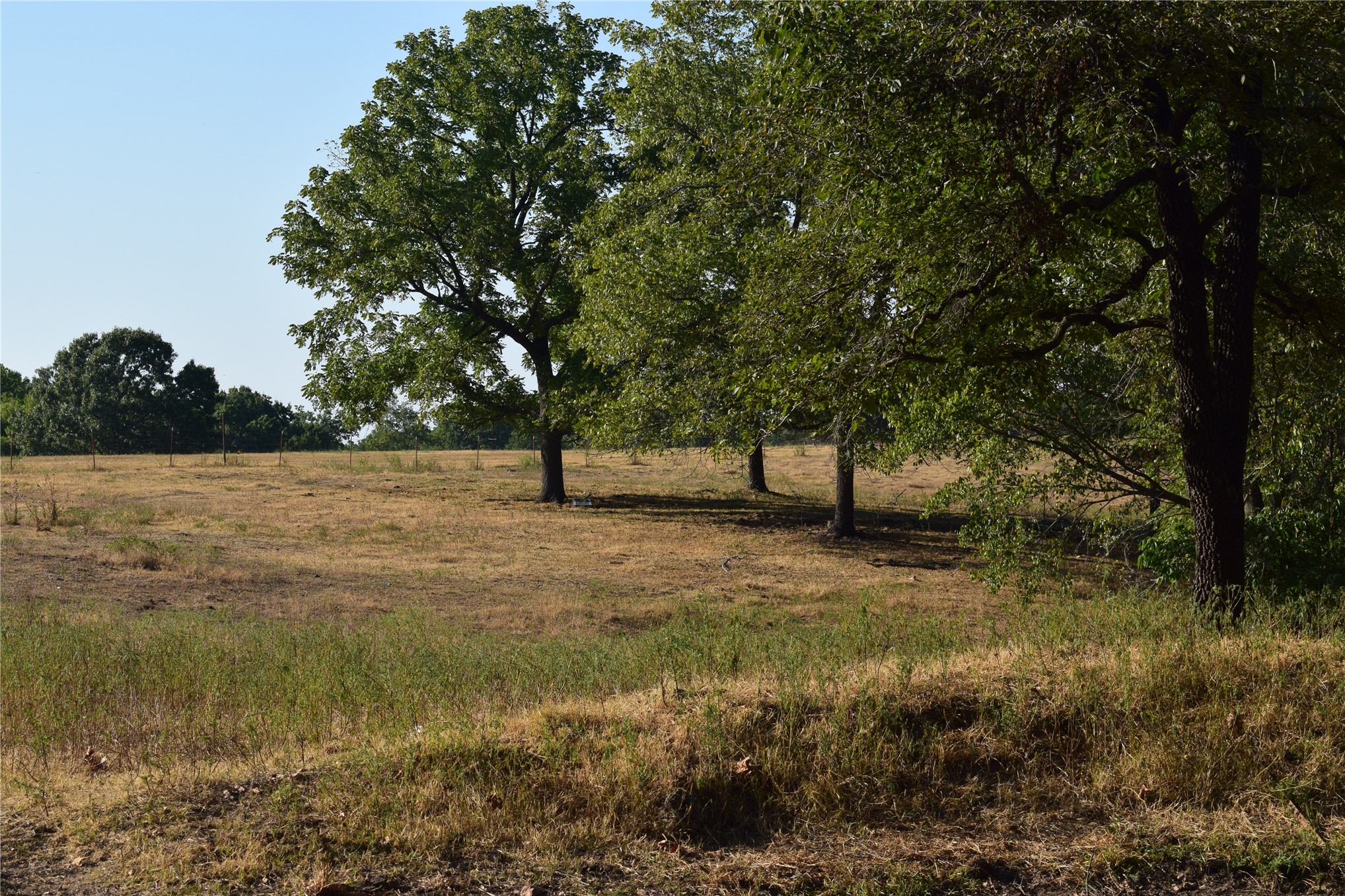 67451 E County Road 175 Road Property Photo 21