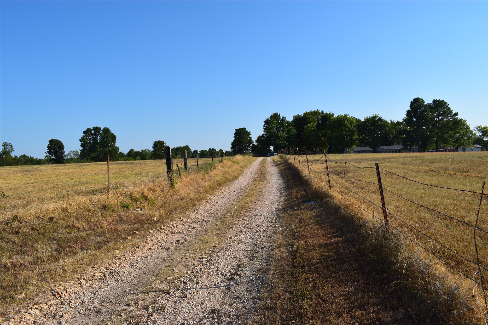 67451 E County Road 175 Road Property Photo 24