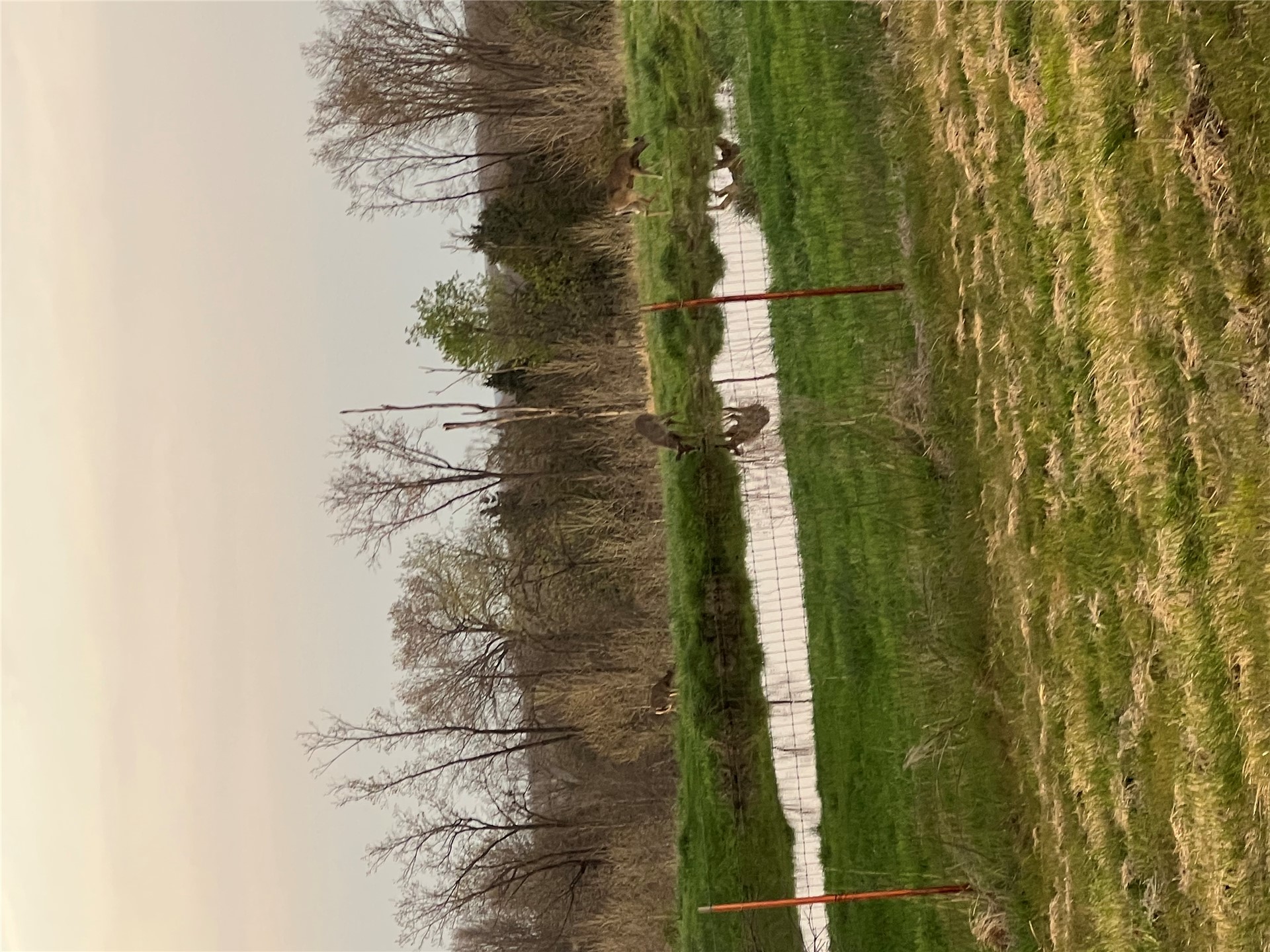67451 E County Road 175 Road Property Photo 40