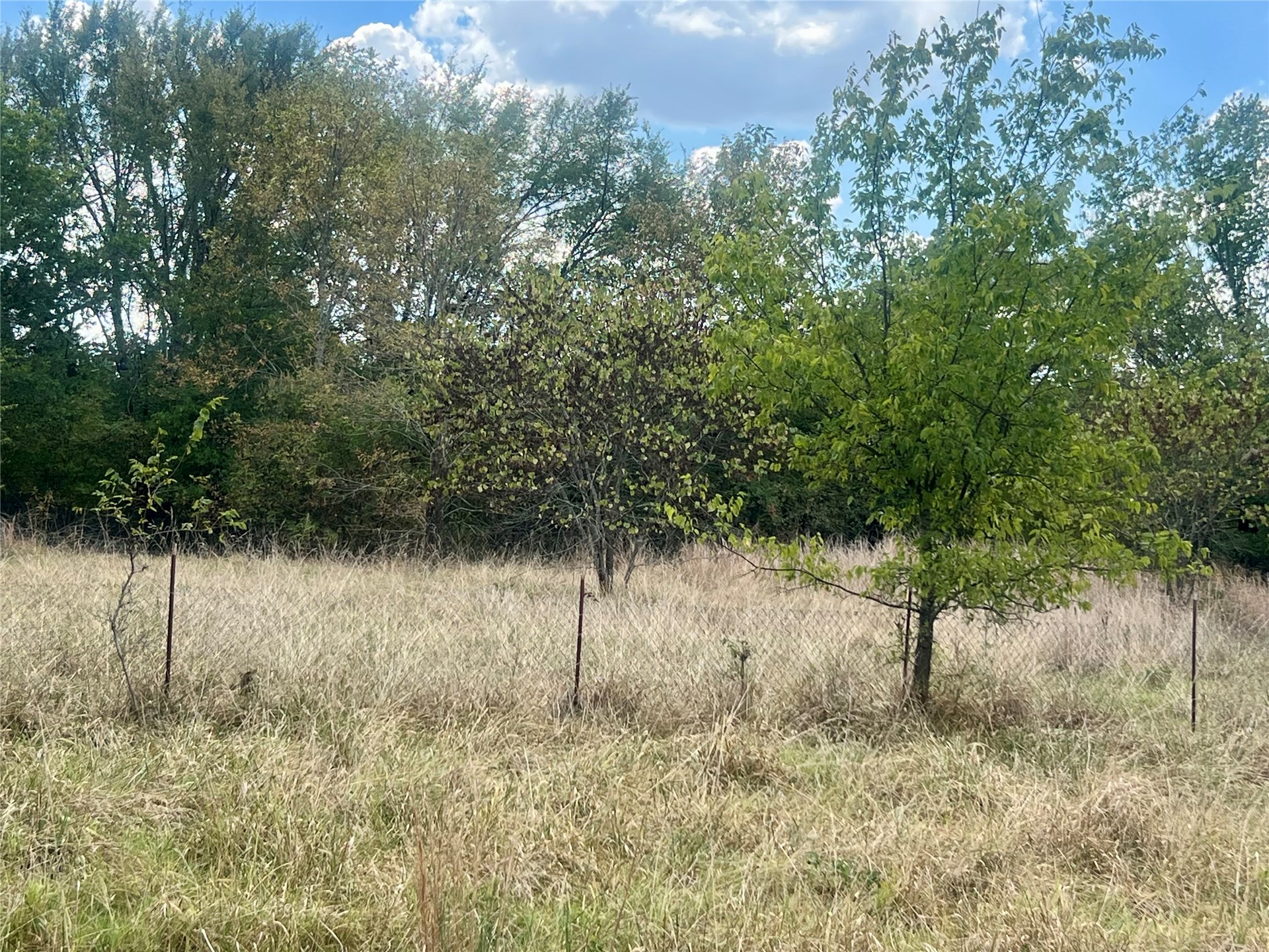 17329 County Road 1480 Property Photo 8