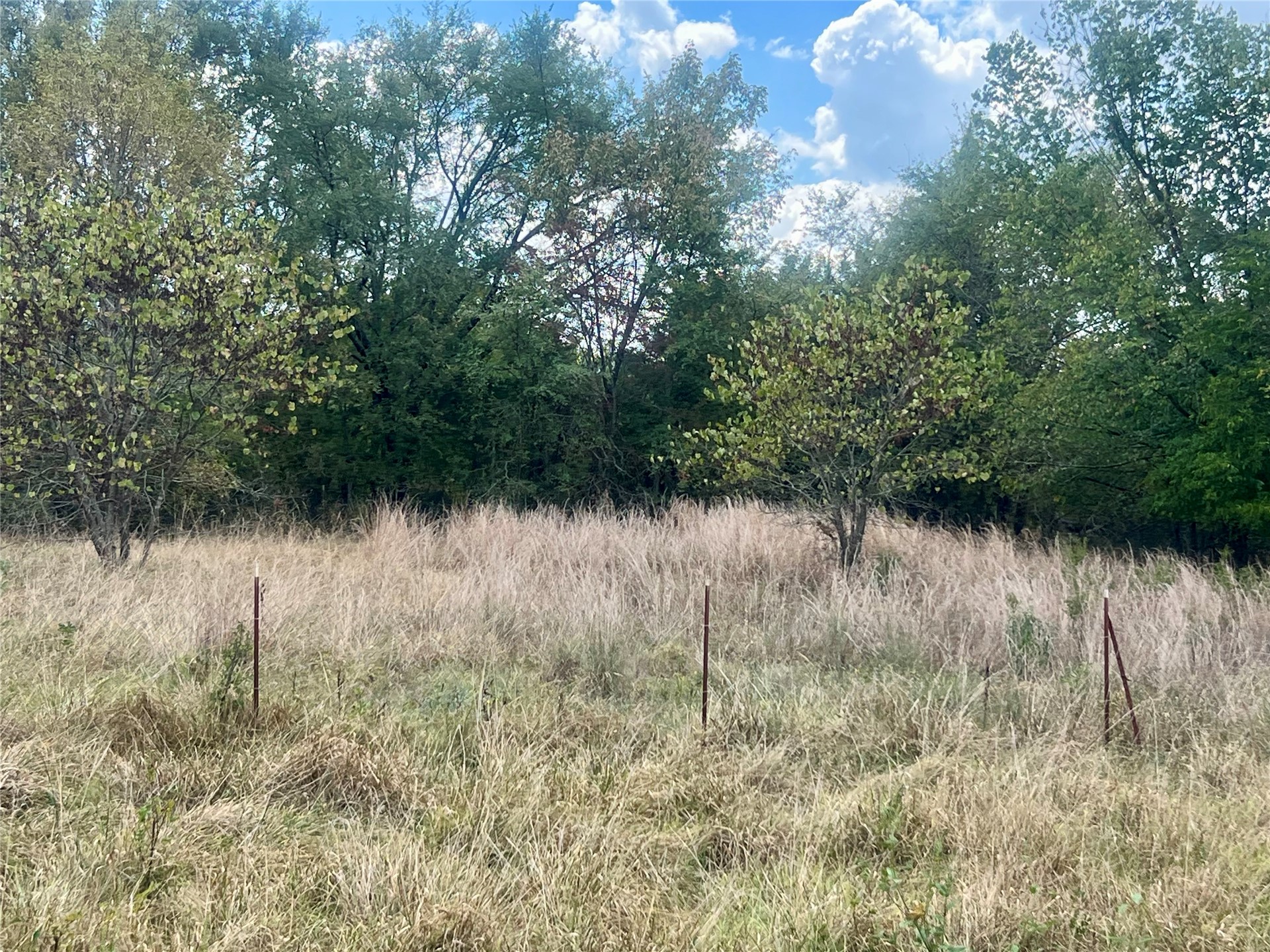 17329 County Road 1480 Property Photo 10