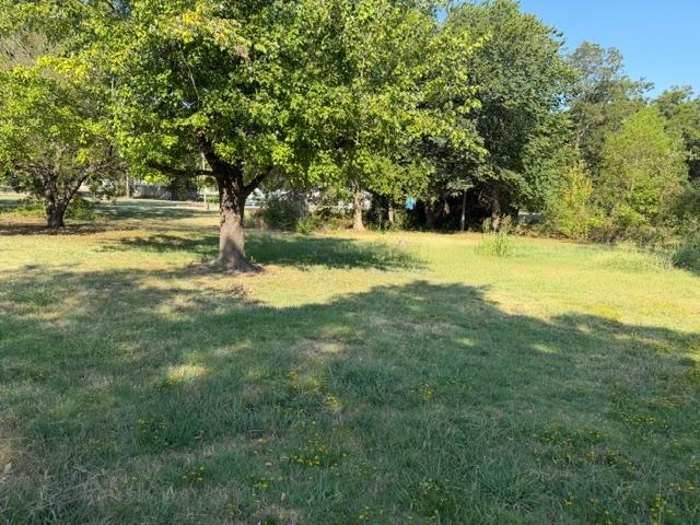 204 Plum Property Photo 3