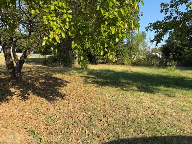 204 Plum Property Photo 4