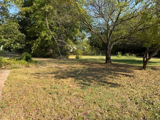 204 Plum Property Photo 5