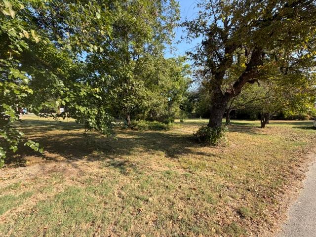 204 Plum Property Photo 7