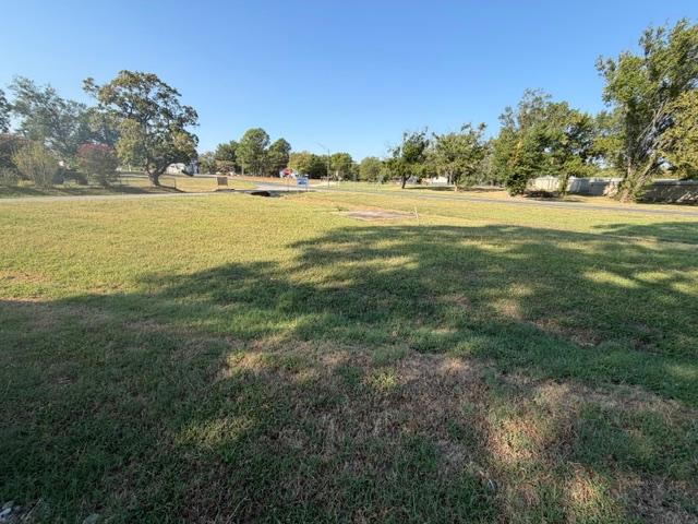 204 Plum Property Photo 8