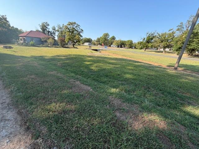 204 Plum Property Photo 9