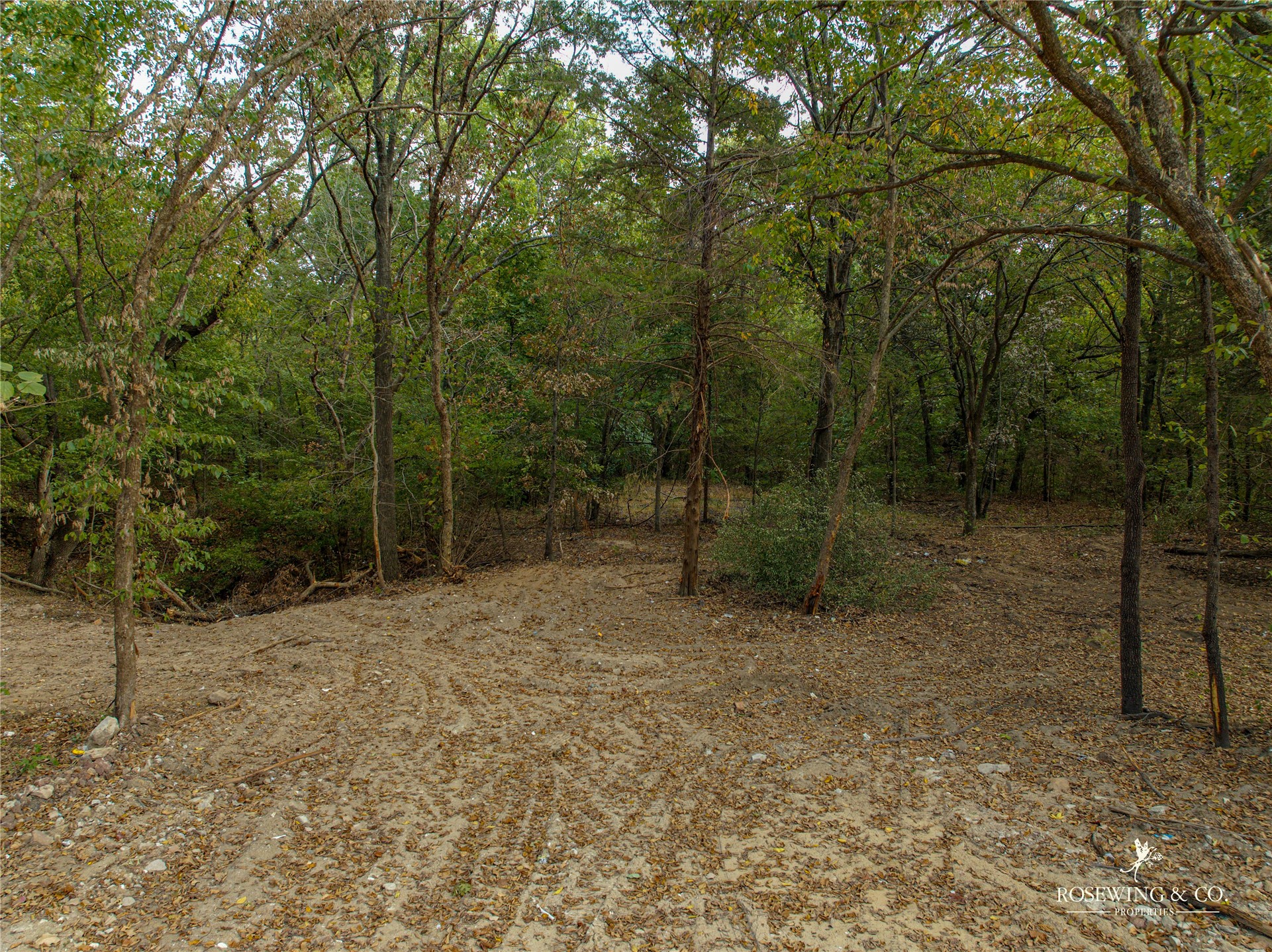 22525 Kings Road Property Photo 11