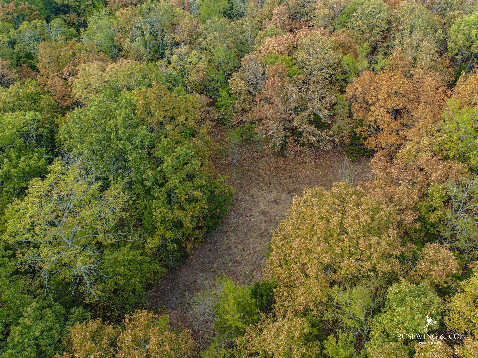 22525 Kings Road Property Photo 14