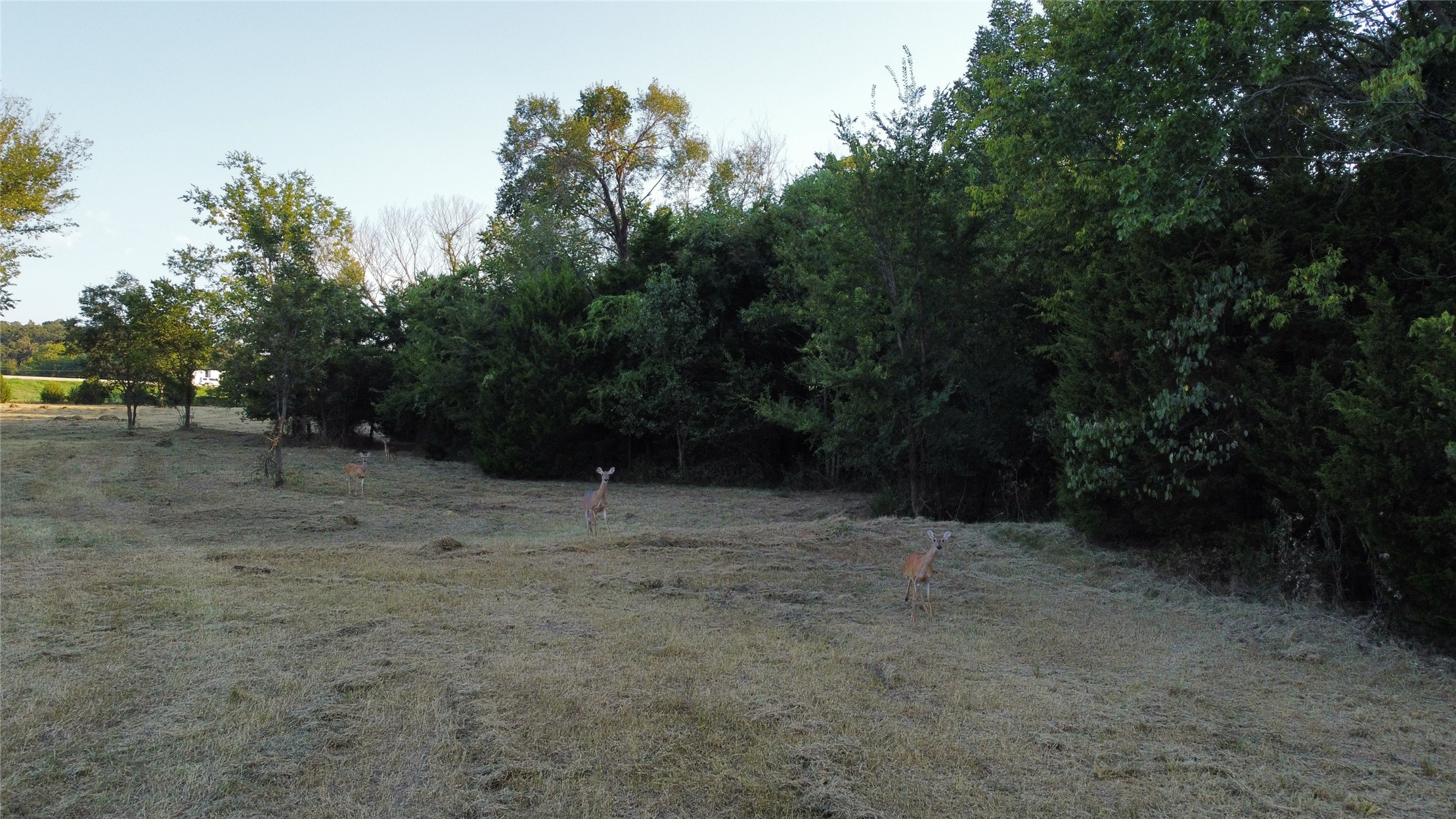 480 Road Property Photo 6