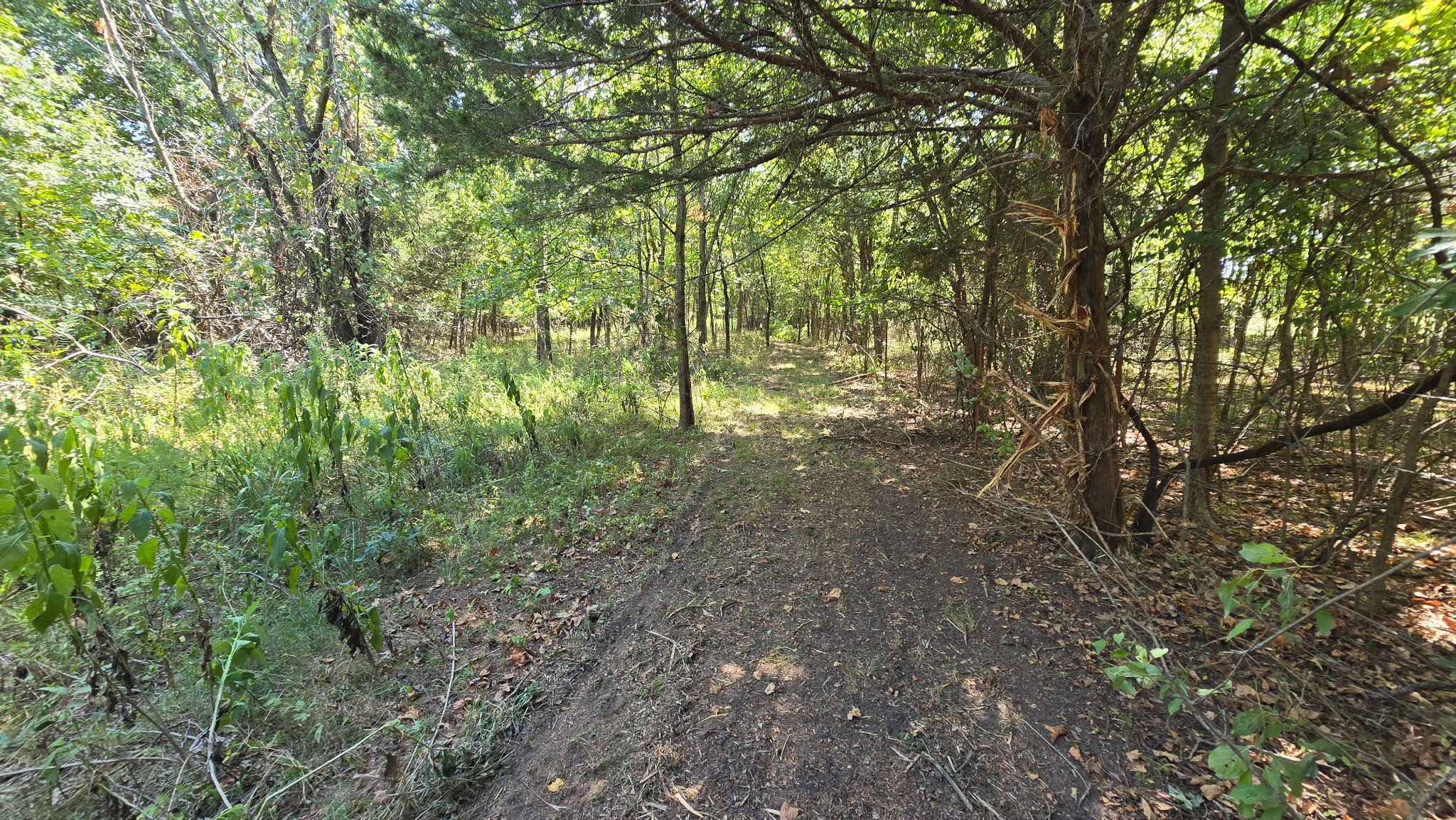 480 Road Property Photo 9