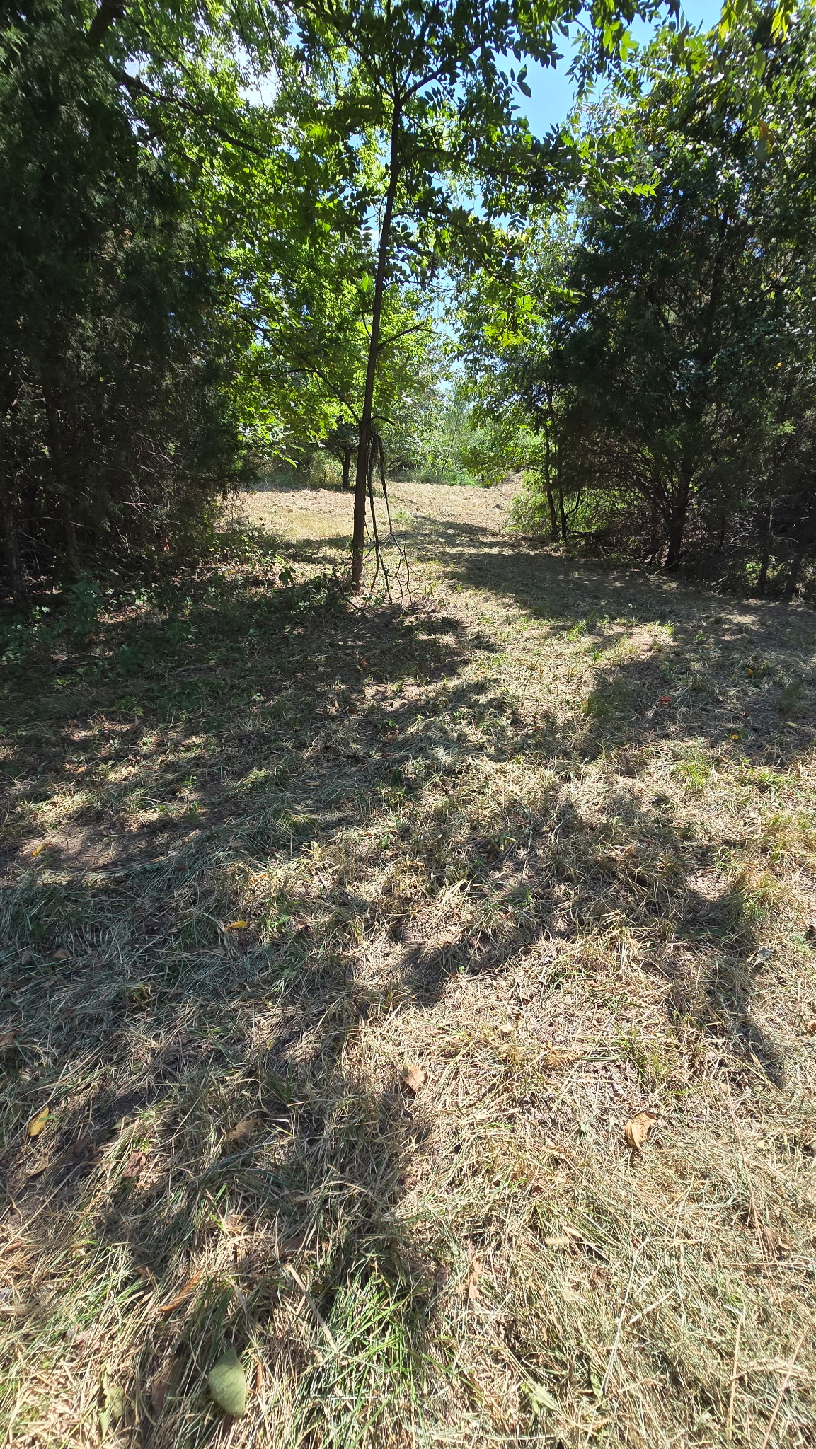 480 Road Property Photo 13