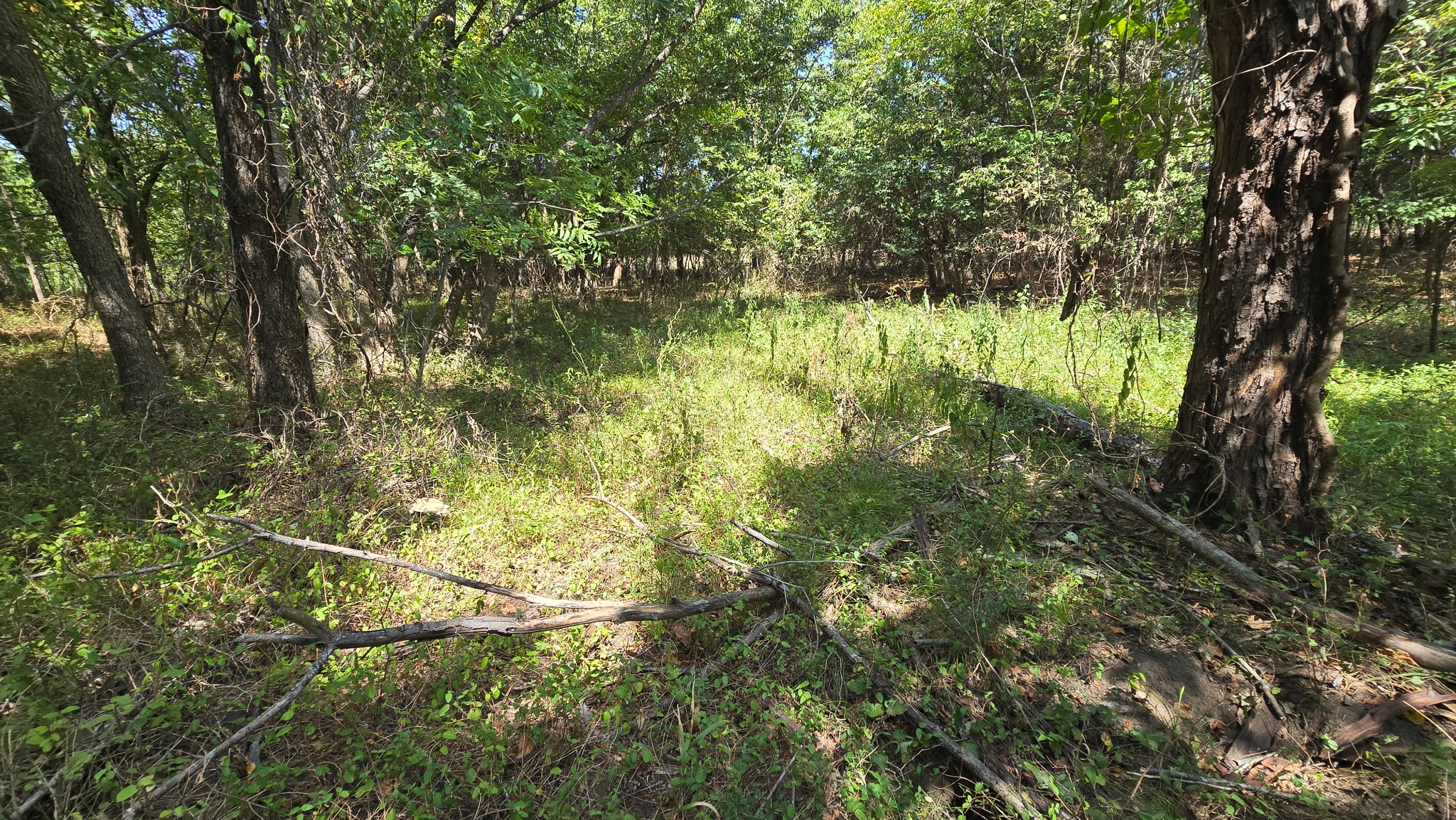 480 Road Property Photo 14