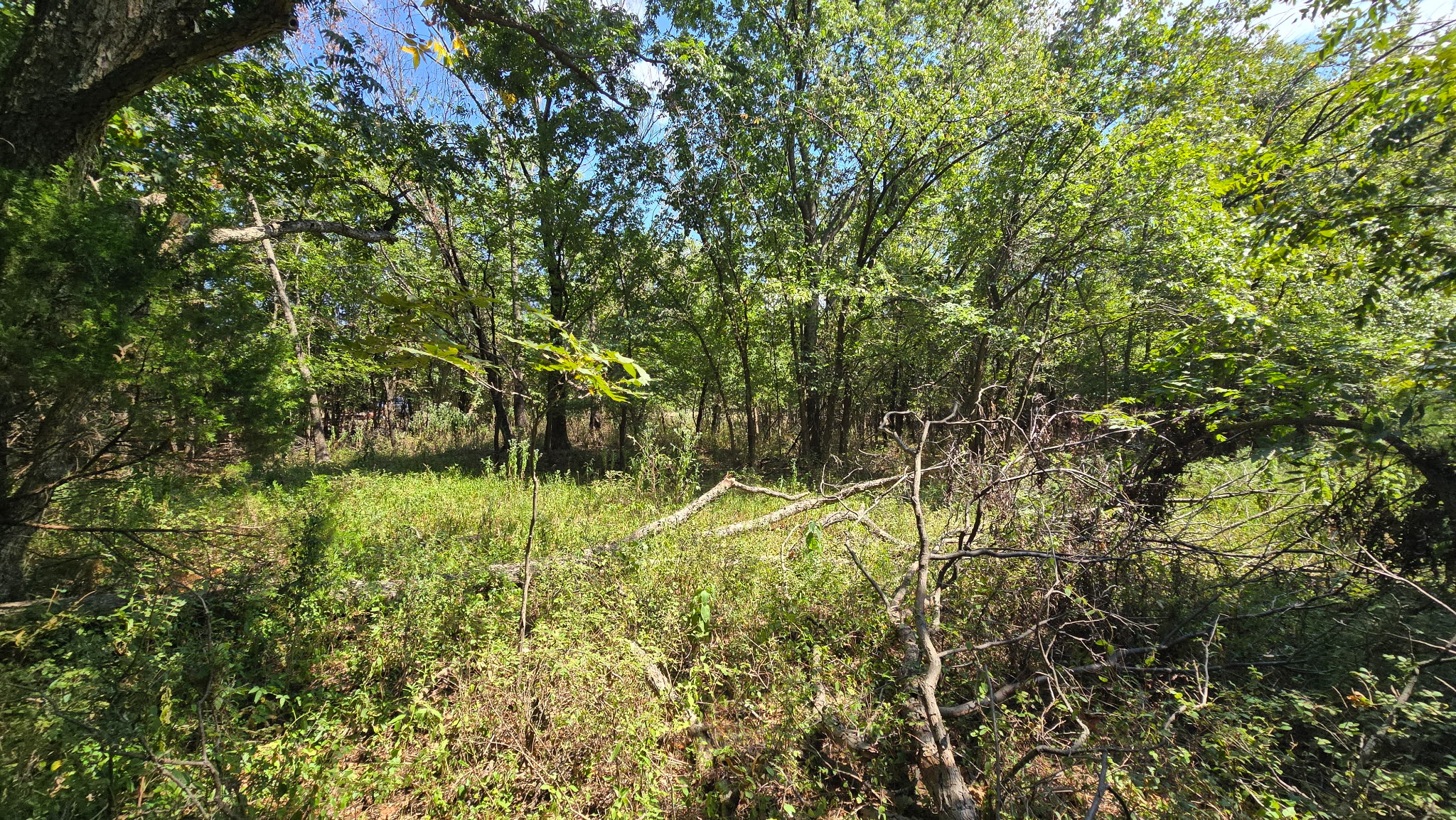 480 Road Property Photo 15