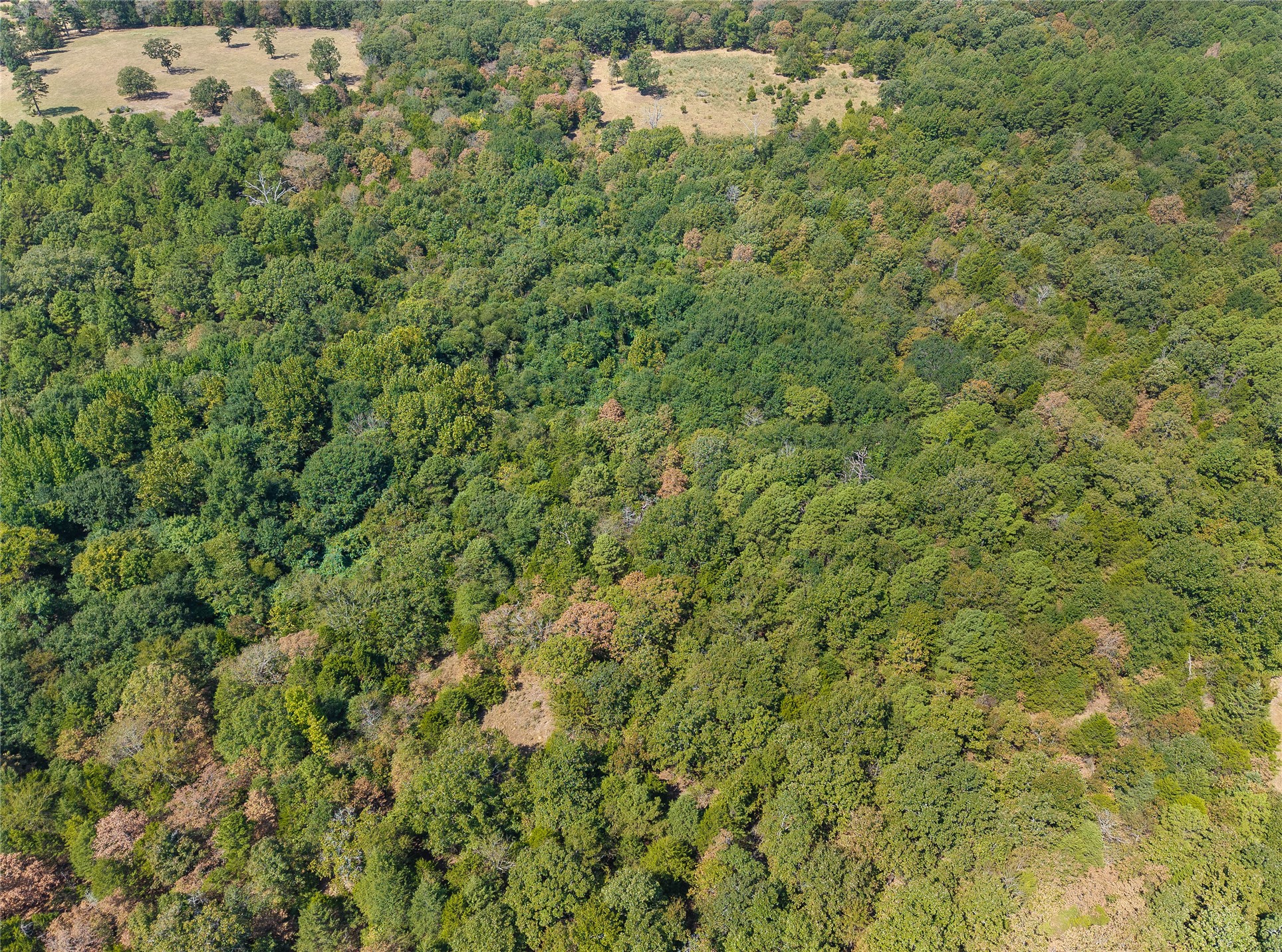 410485 E 1910 Road Property Photo 43