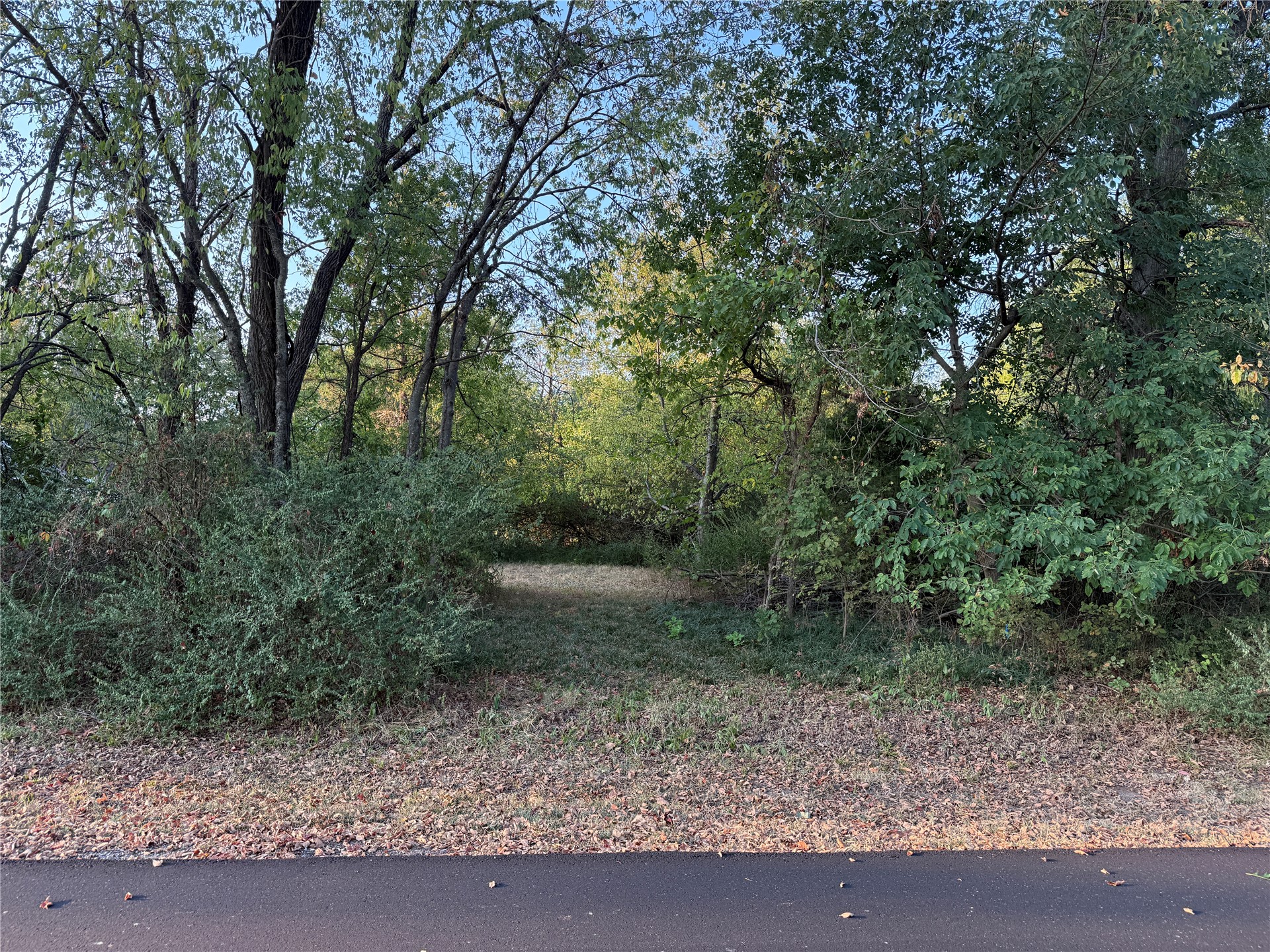 E Spotted Horse Drive Property Photo 3