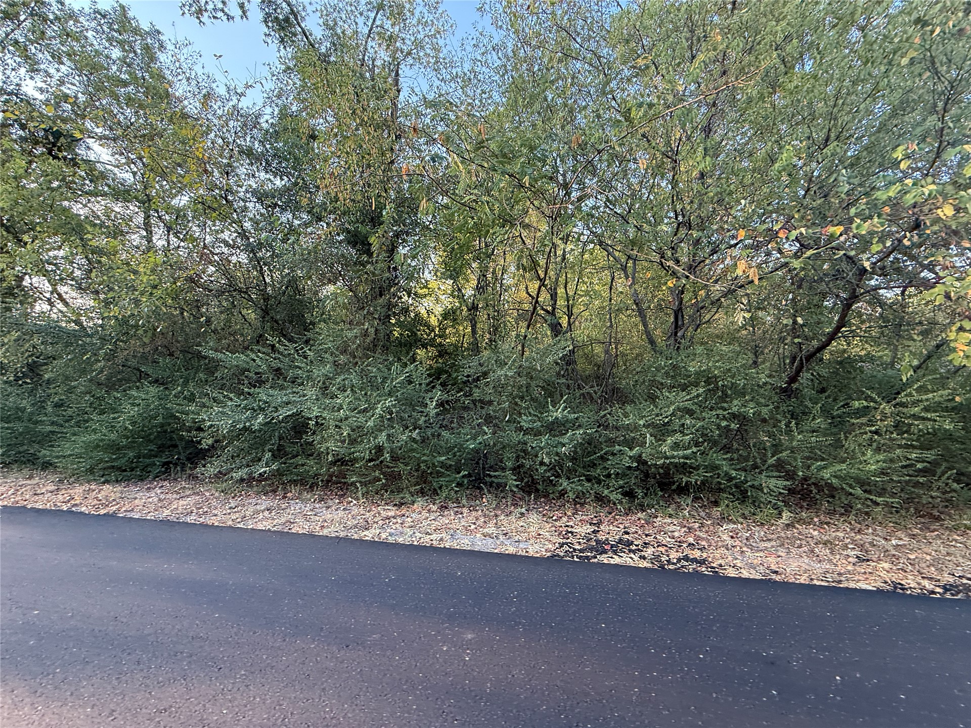 E Spotted Horse Drive Property Photo 4