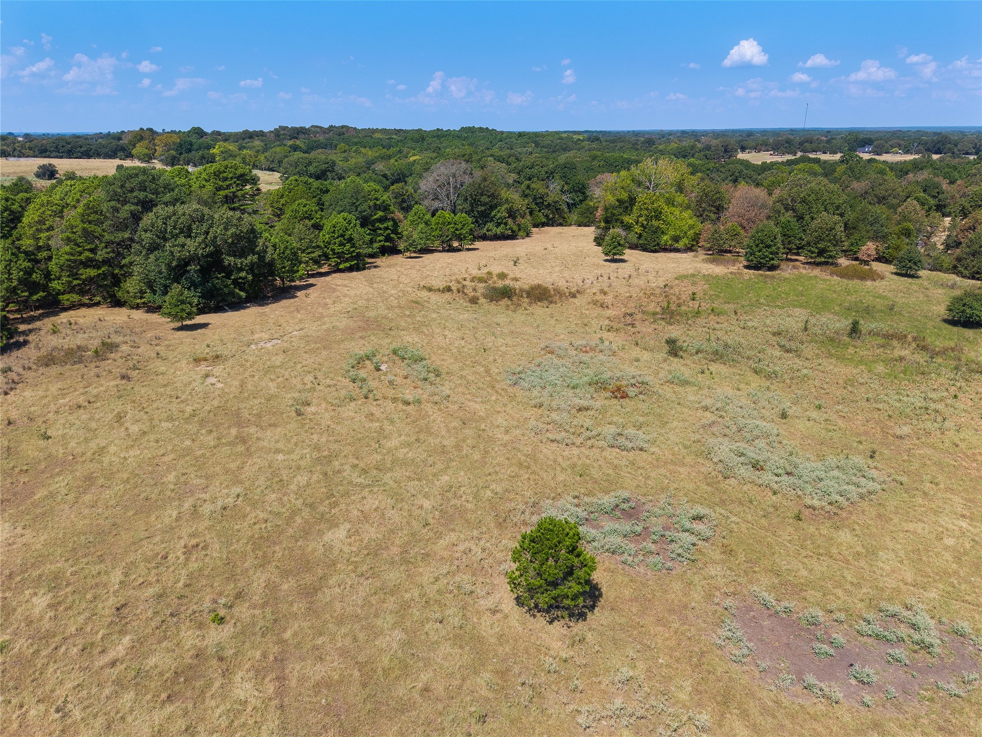 01 S Push Co Line Road Property Photo 9