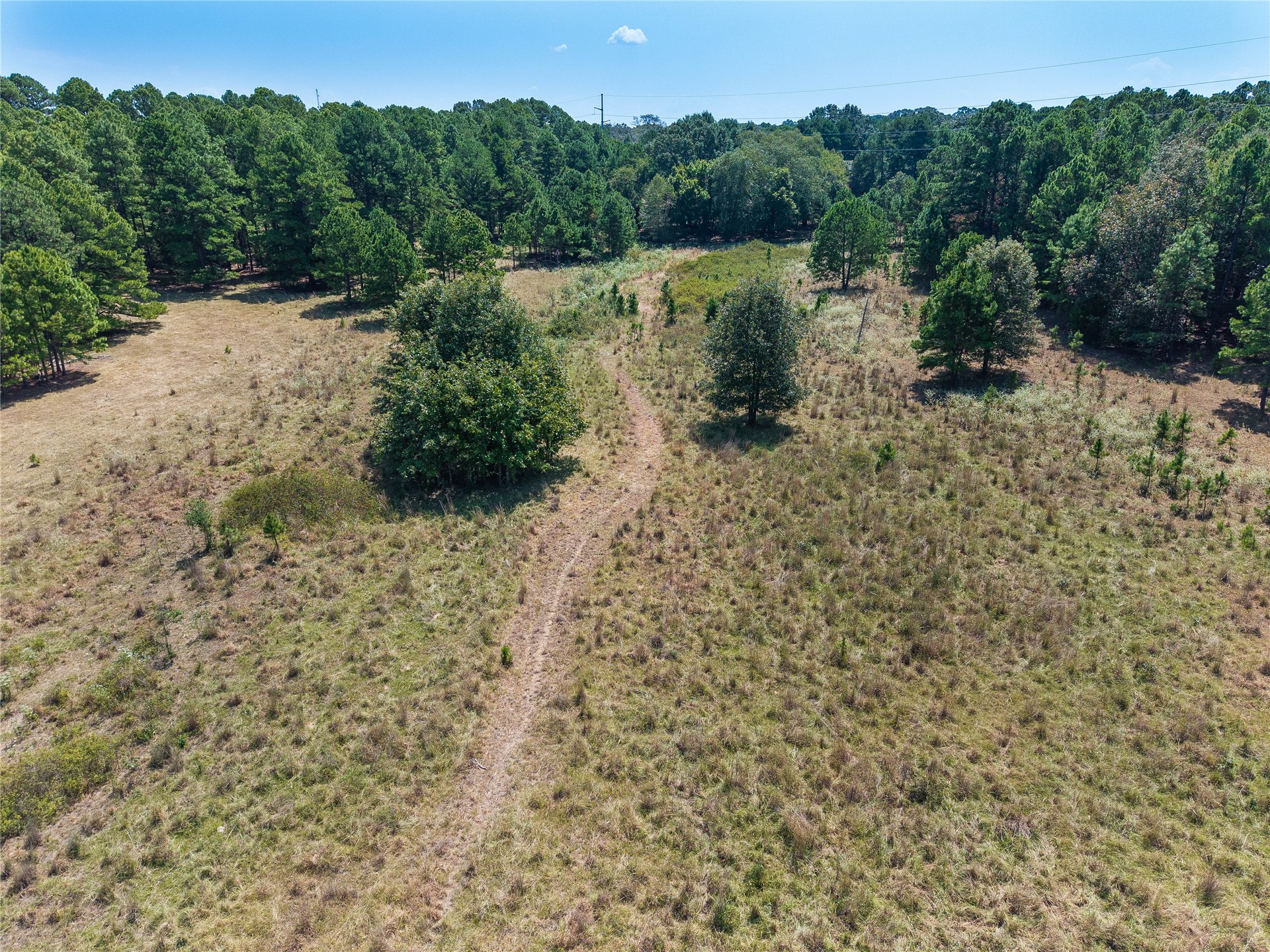 01 S Push Co Line Road Property Photo 19