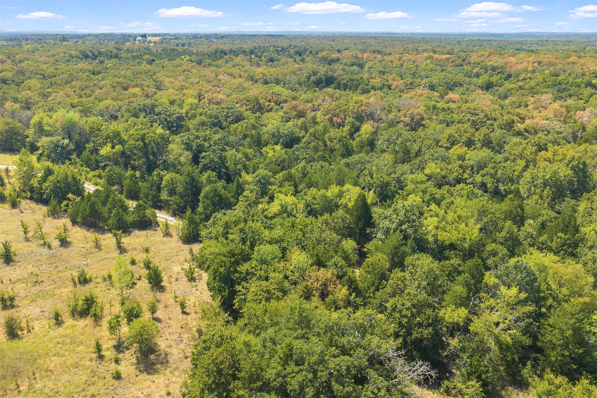23922 Pickens Road Property Photo 4