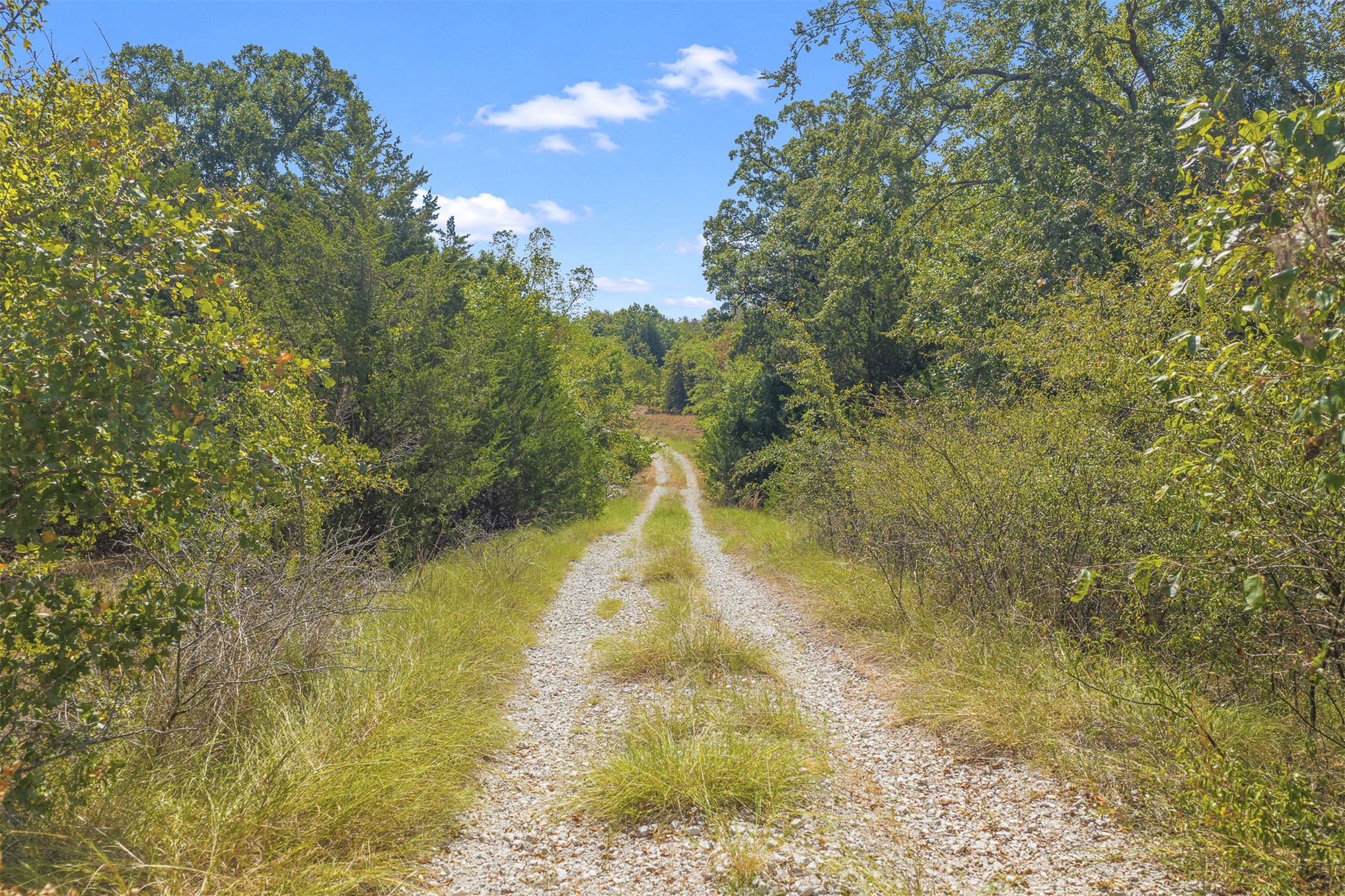 23922 Pickens Road Property Photo 6