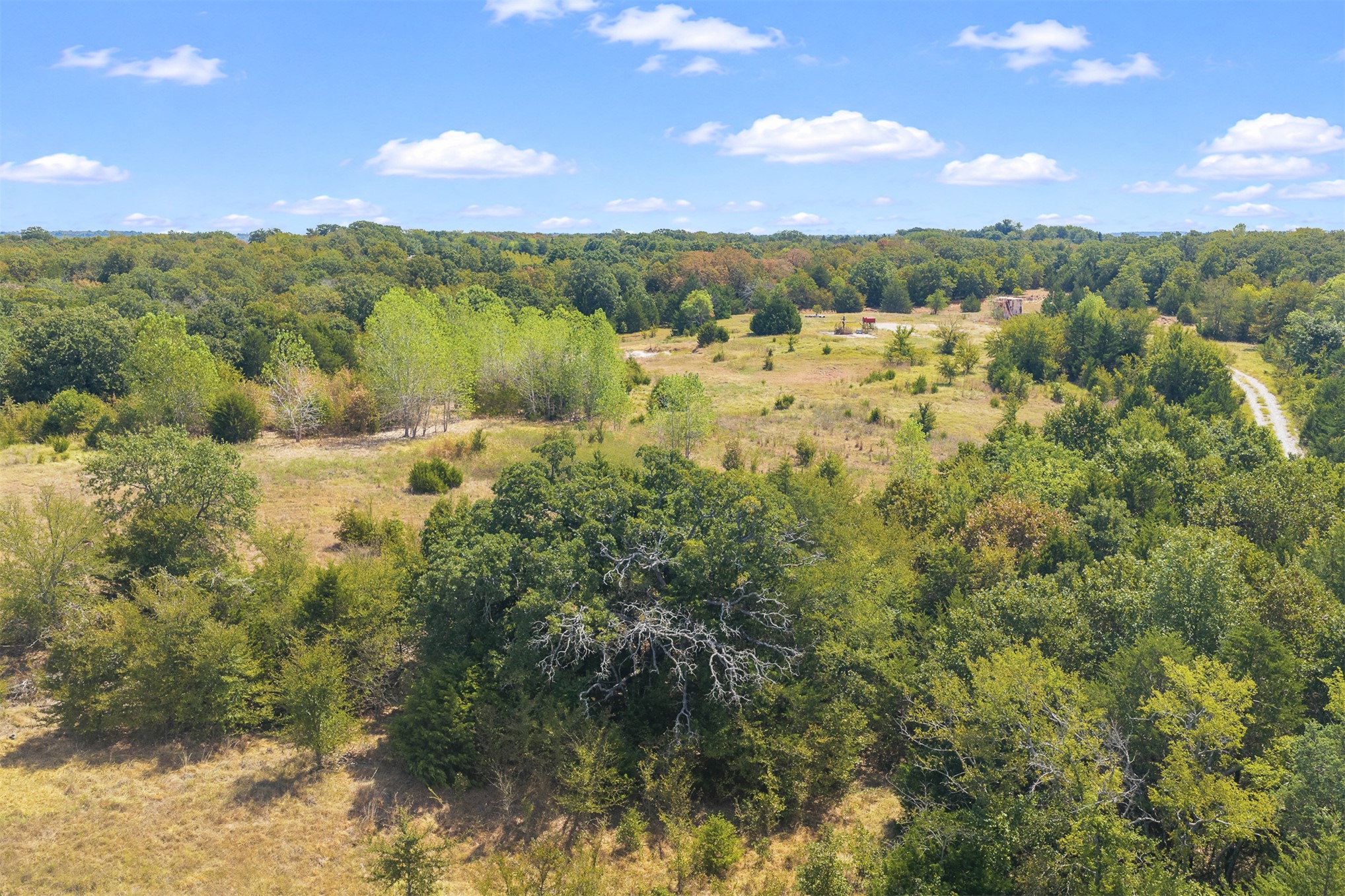 23922 Pickens Road Property Photo 9