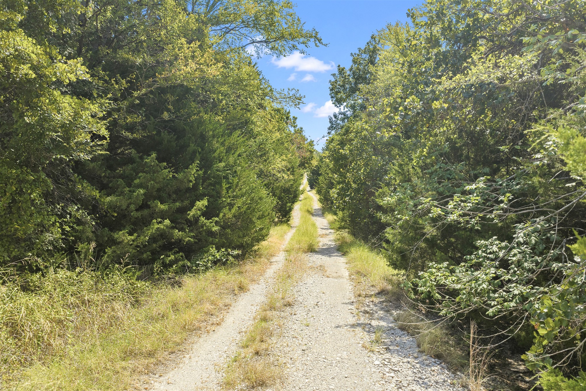 23922 Pickens Road Property Photo 10