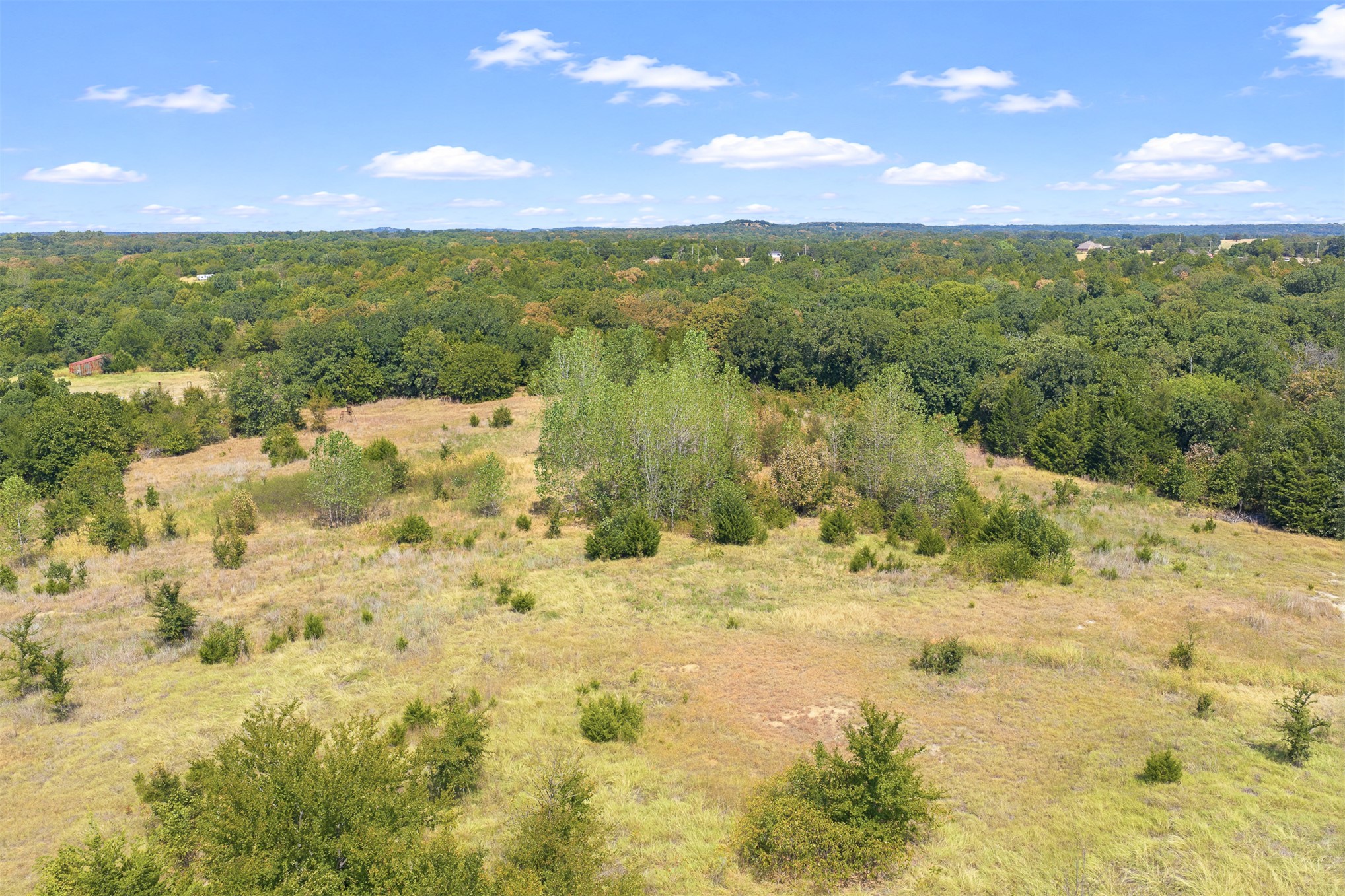 23922 Pickens Road Property Photo 11