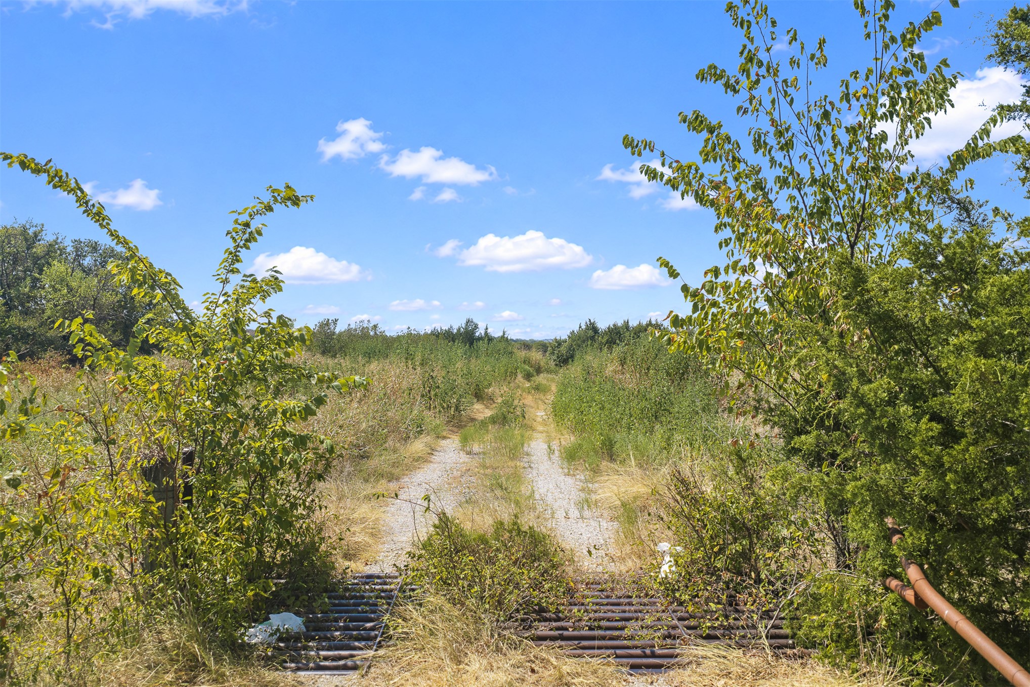 23922 Pickens Road Property Photo 13